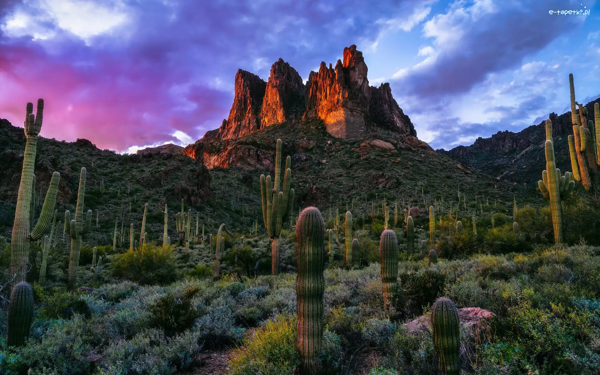 Roślinność, Arizona, Zachód słońca, Drzewa, Superstition Mountains, Skały, Kaktusy, Stany Zjednoczone, Góry, Chmury