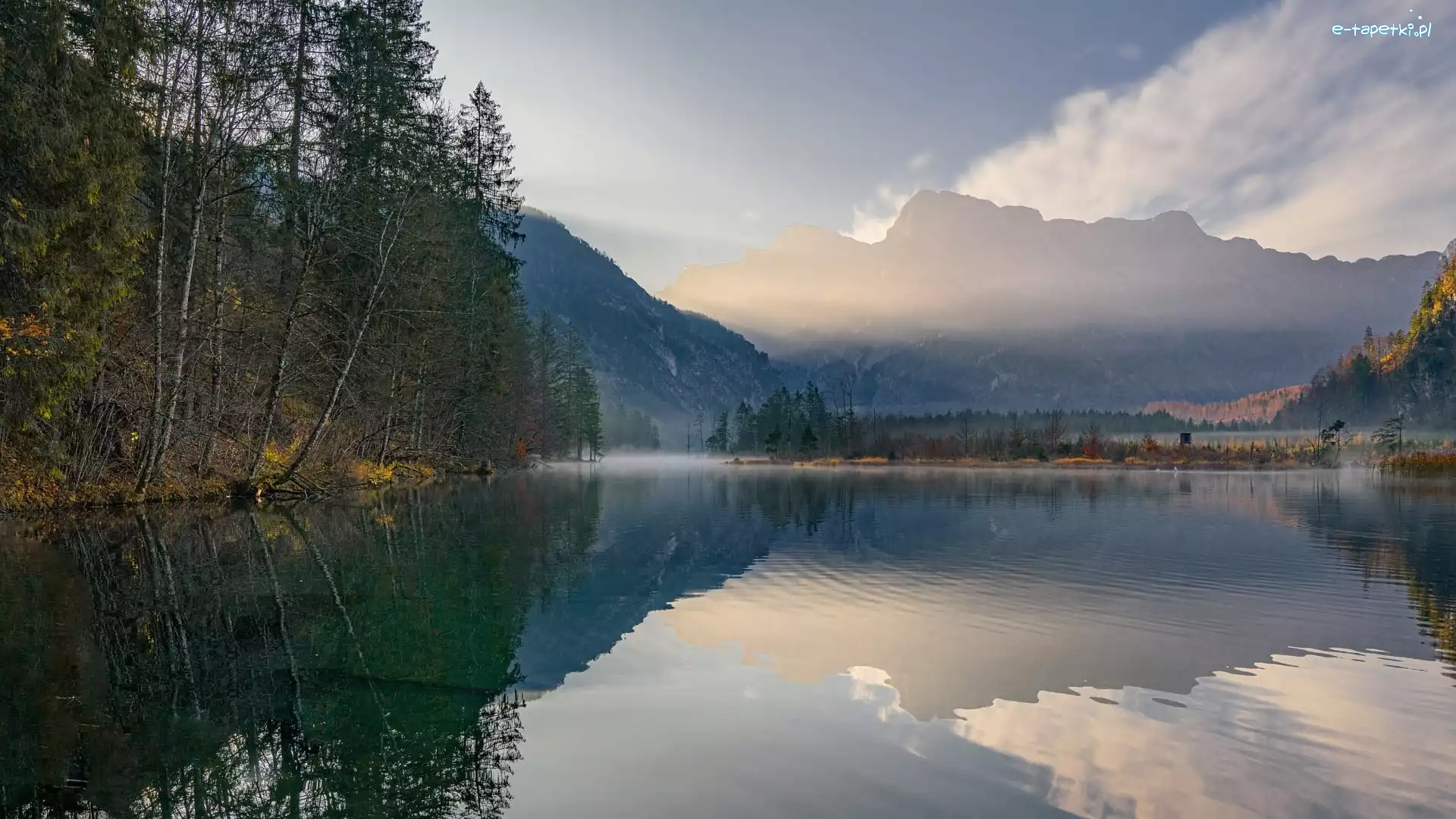 Odbicie, Mgła, Drzewa, Austria, Jezioro Almsee, Góry