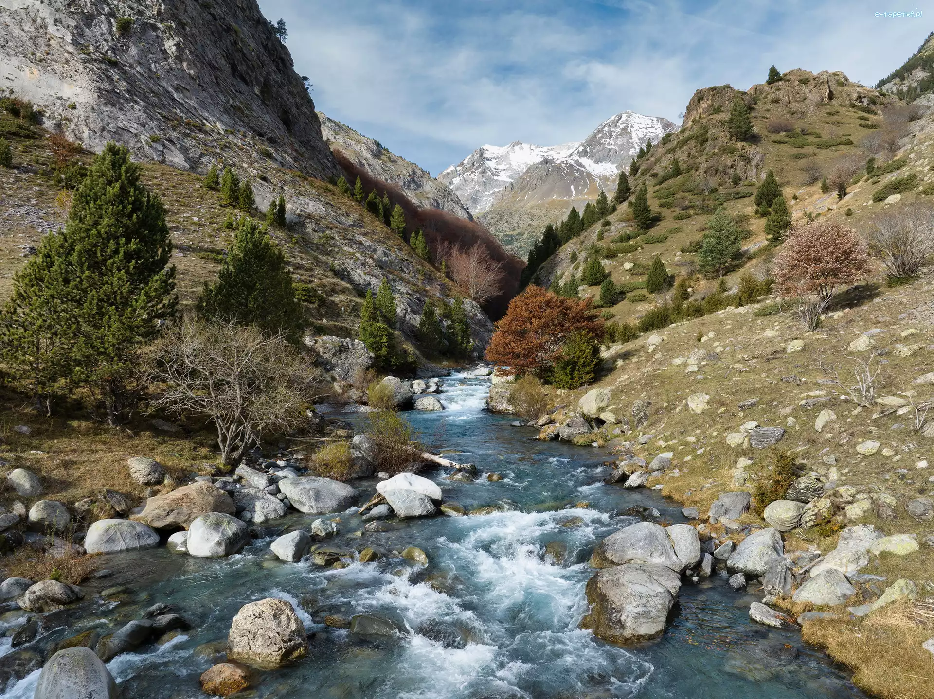 Rio Ara, Aragonia, Drzewa, Rzeka, Góry, Pireneje, Niebo, Hiszpania, Bujaruelo Valley, Kamienie