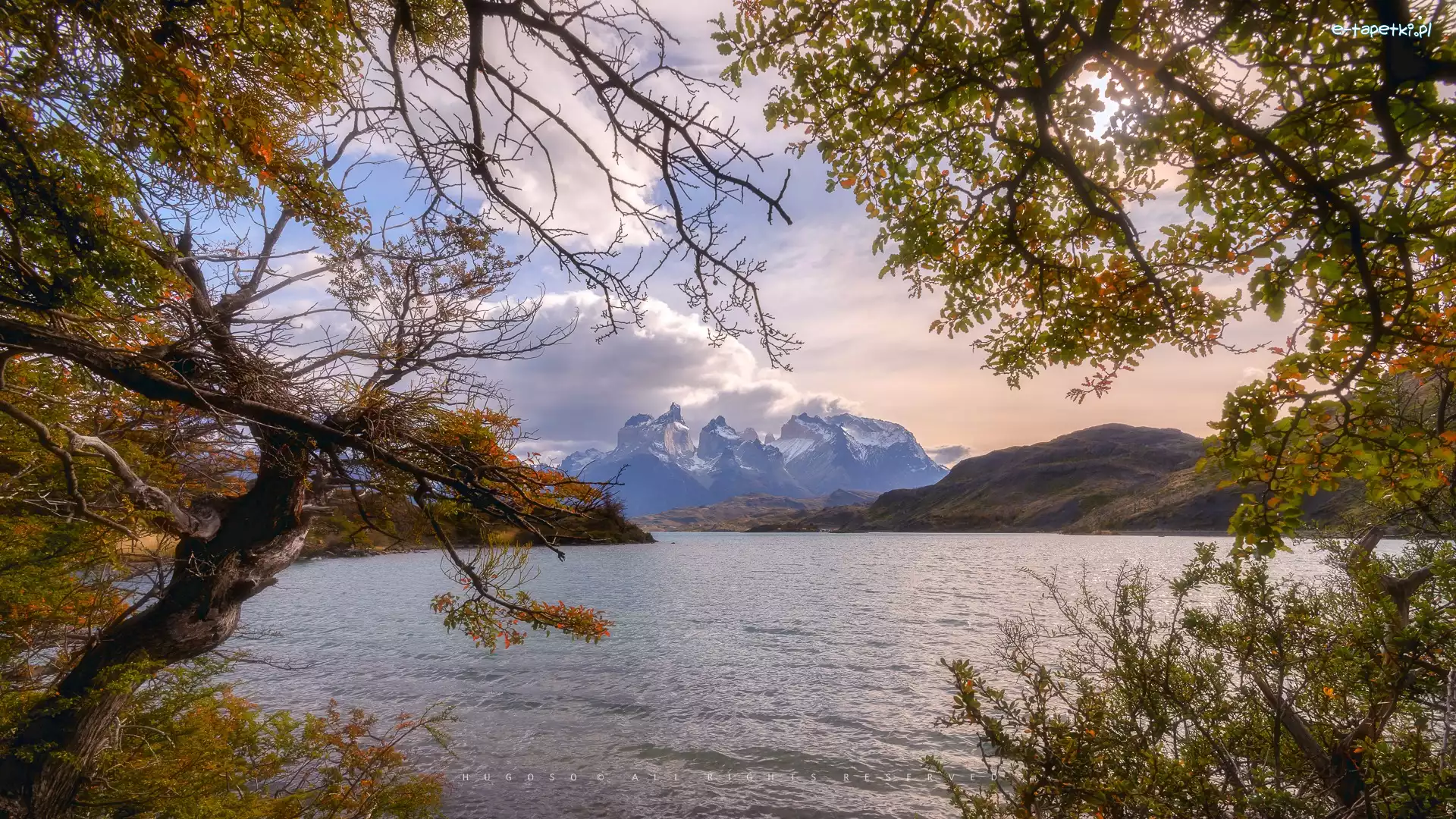 Jezioro, Park Narodowy Torres del Paine, Góry, Drzewa, Patagonia, Chile