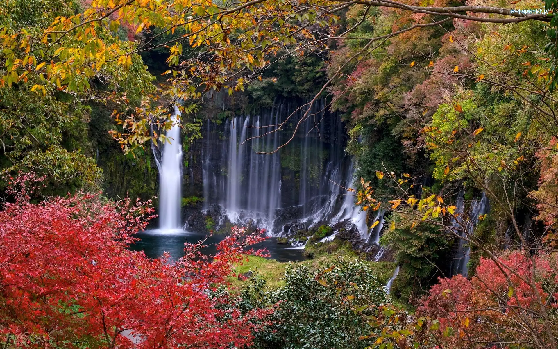Kolorowe, Shiraito Falls, Japonia, Prefektura Shizuoka, Skały, Drzewa, Jesień, Wodospad