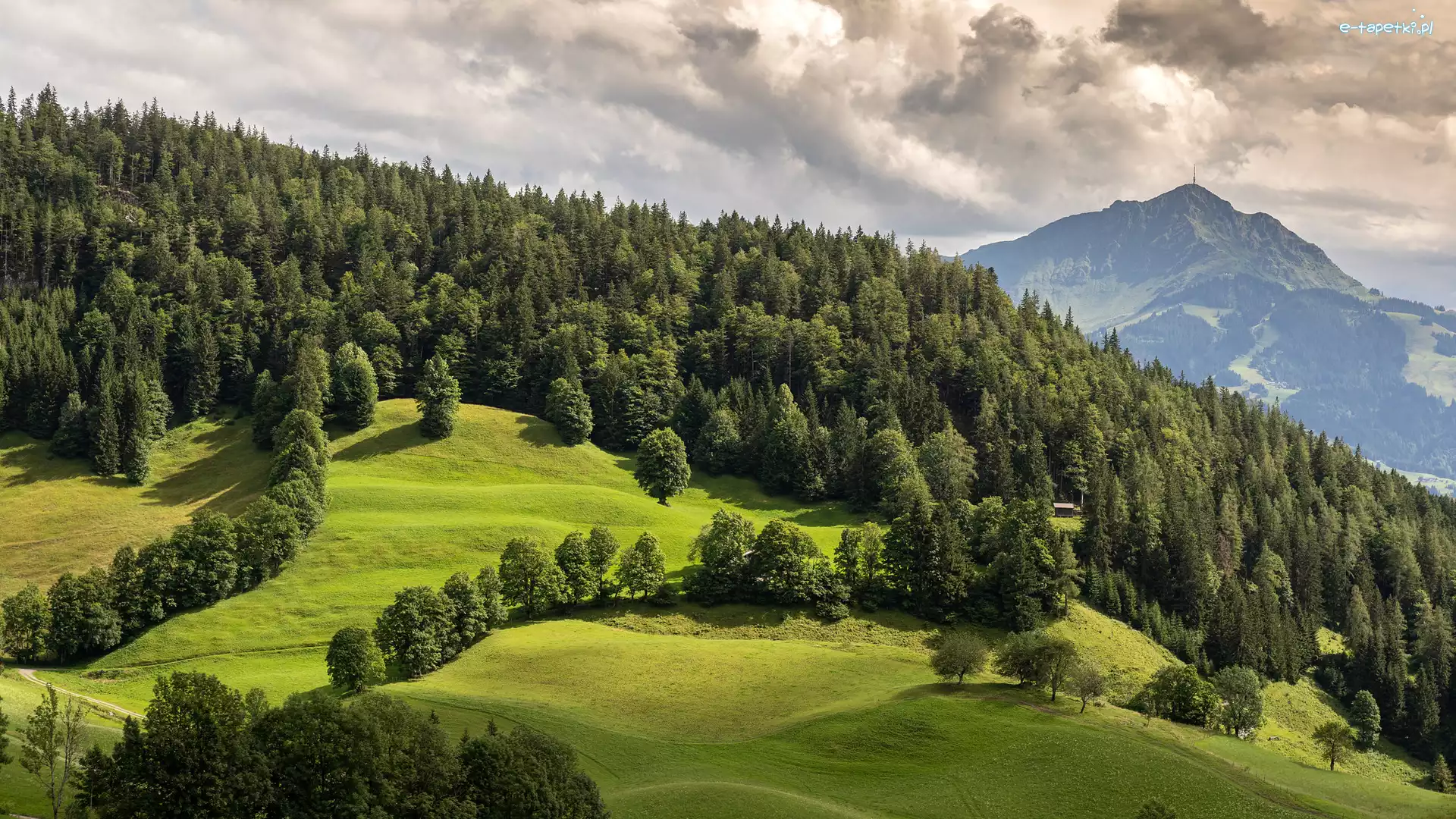 Łąki, Drzewa, Wzgórze, Góry, Lasy