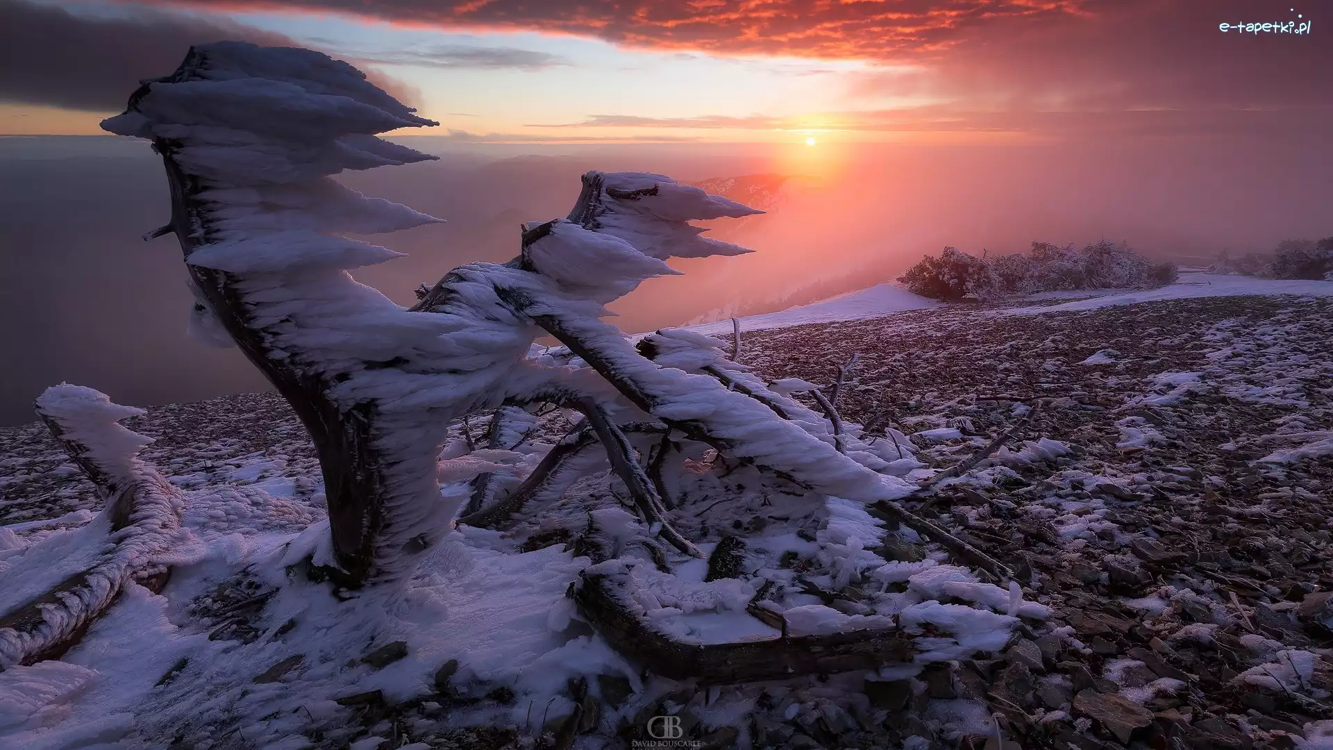 Śnieg, Mgła, Kamienie, Drzewa, Zima, Ośnieżony, Pień, Wschód słońca