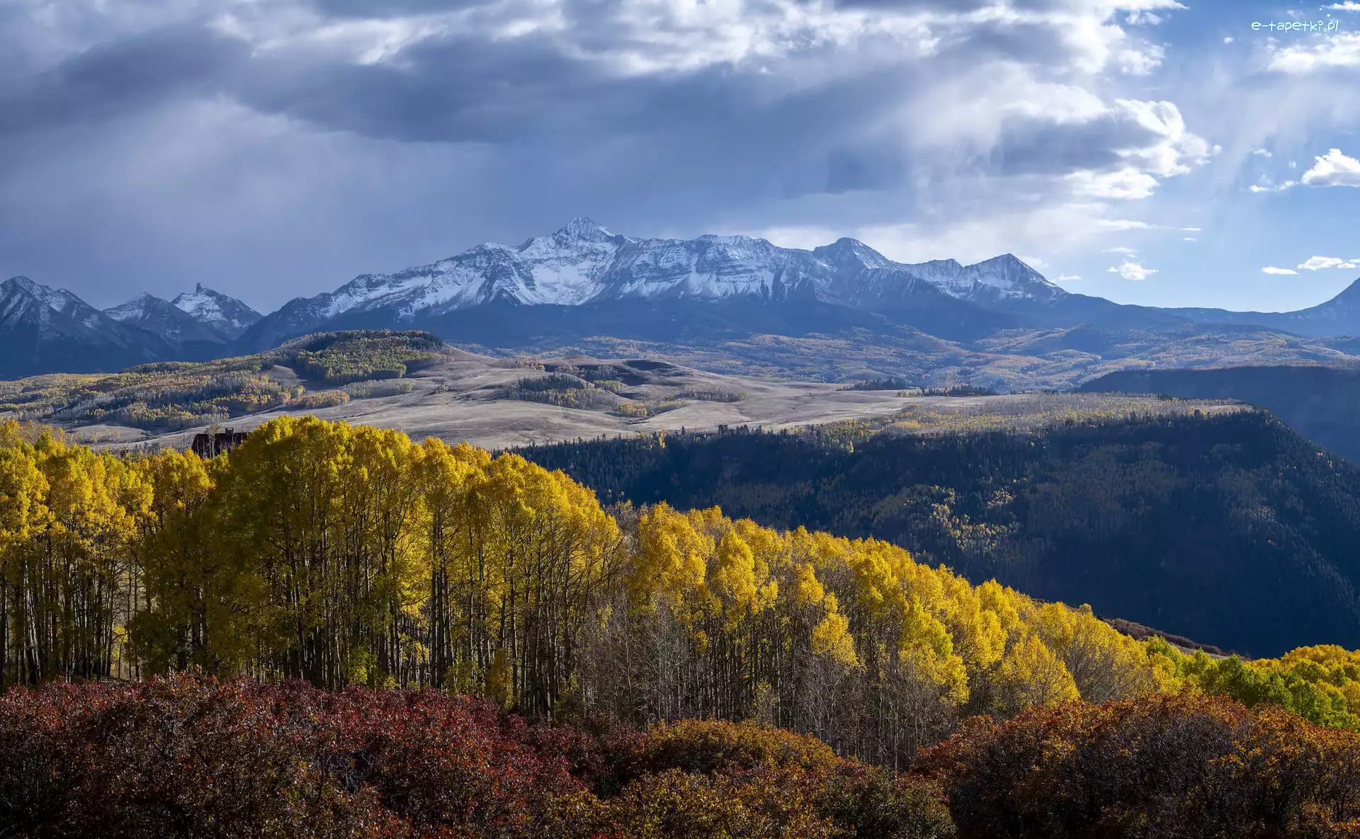 Stany Zjednoczone, Jesień, Las, San Juan Mountains, Góry, Kolorado, Drzewa