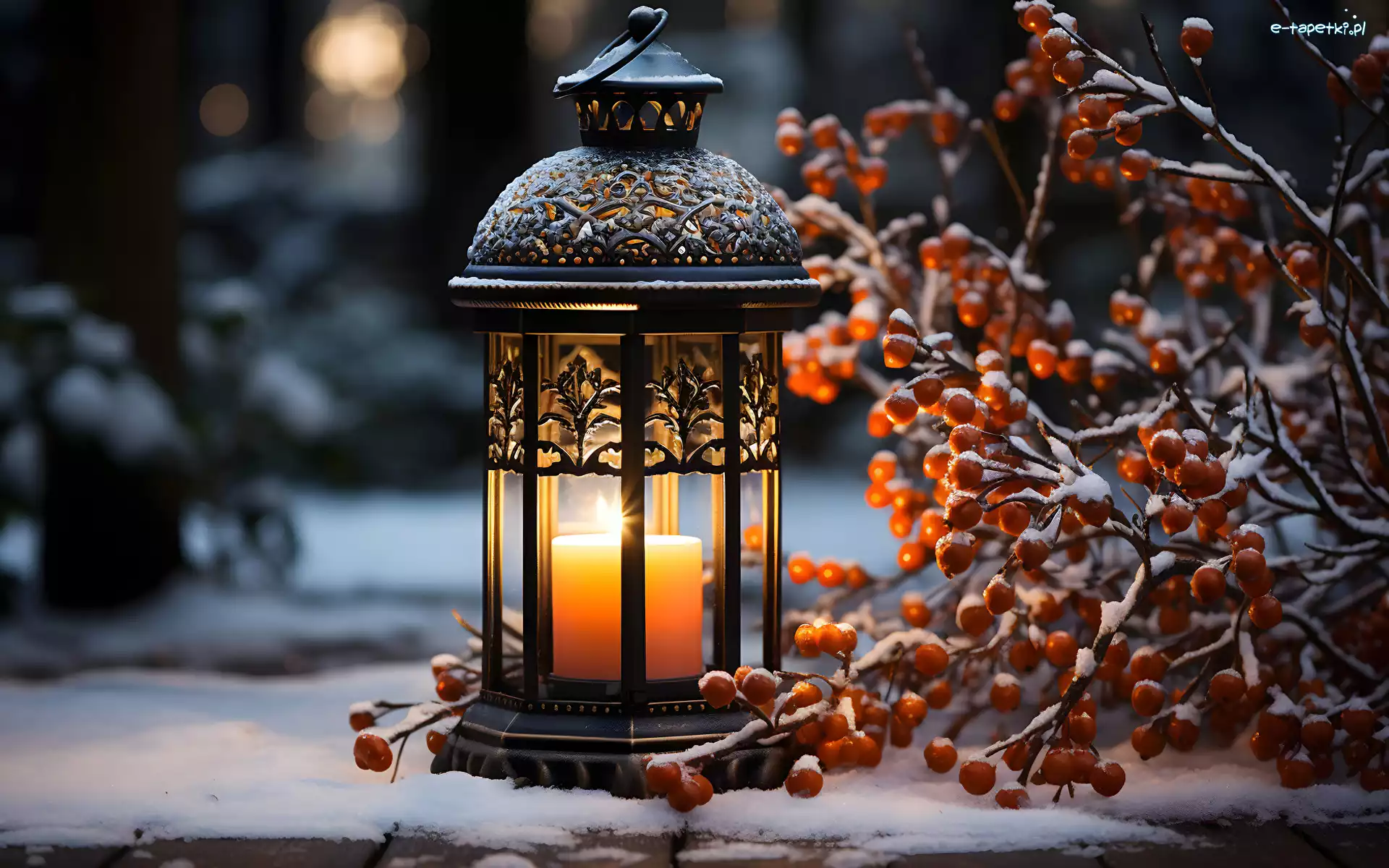 Jagody, Oszroniona, Gałązka, Śnieg, Płonąca Świeca, Lampion