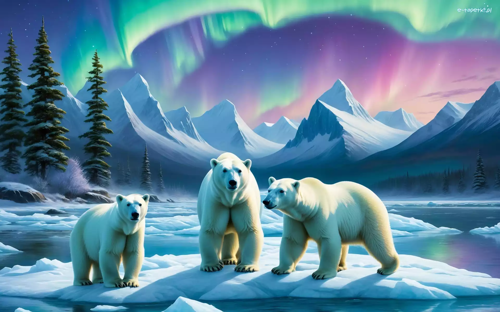 Niedźwiedzie polarne, Góry, Grafika, Białe, Kra, Drzewa, Trzy, Zima, Morze, Zorza polarna