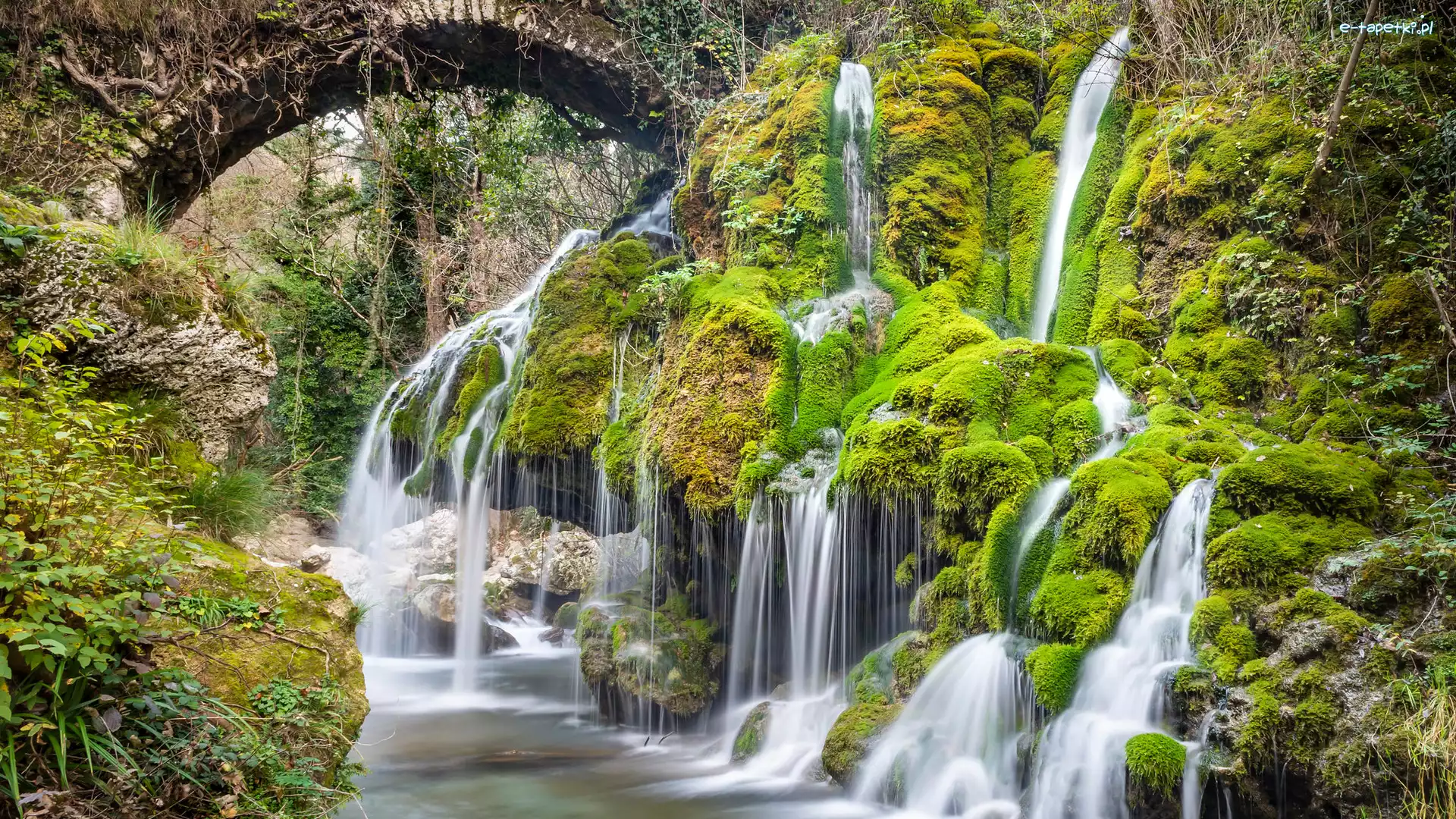 Wodospad, Roślinność, Most, Włochy, Capelli di Venere waterfall