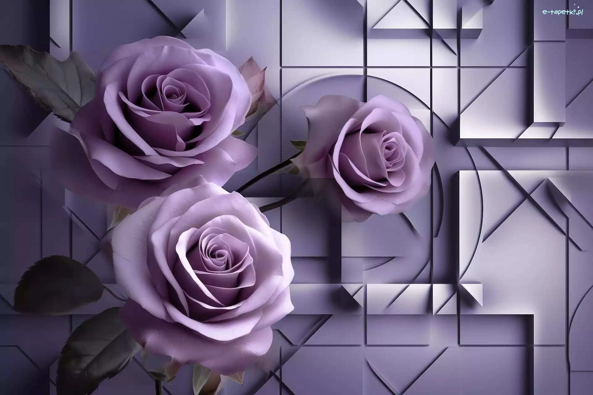 Kwiaty, Grafika, Róże, Purpurowe