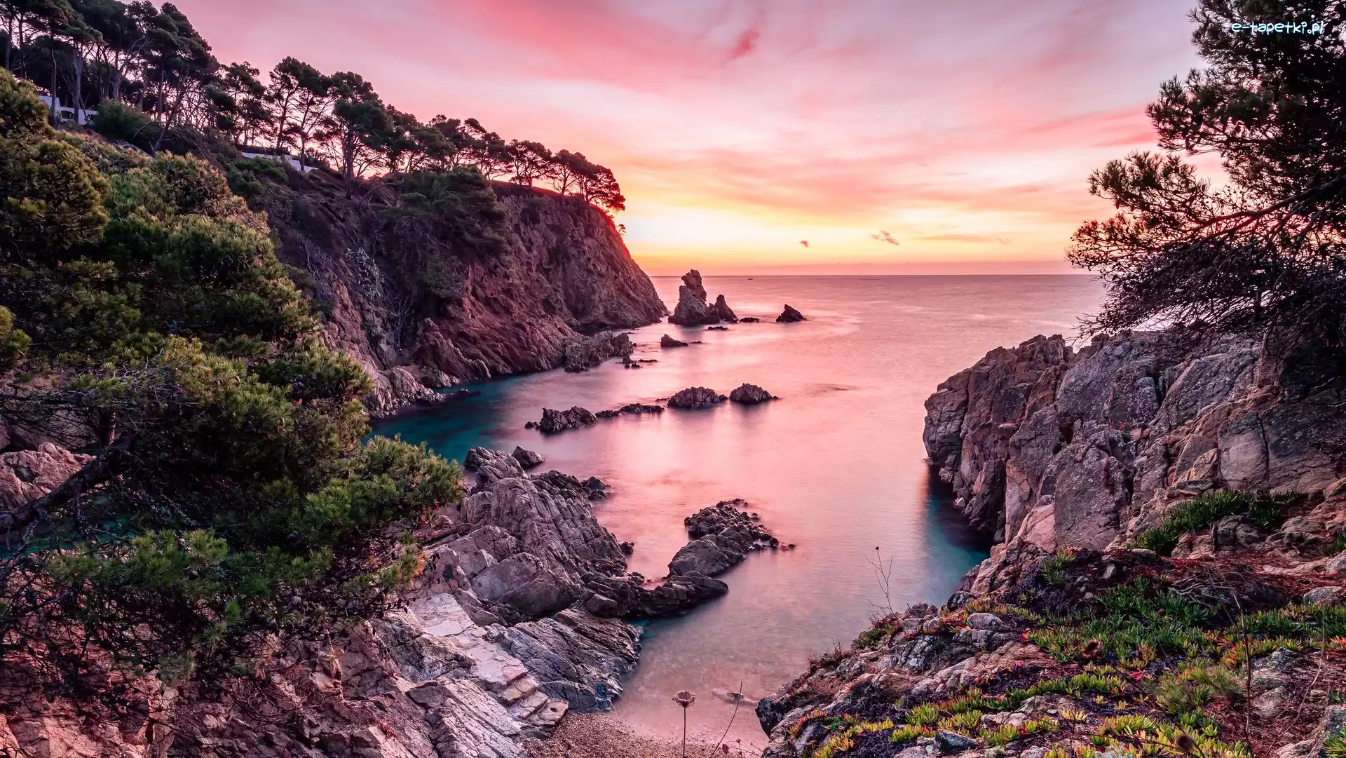 Hiszpania, Morze, Costa Brava, Drzewa, Skały