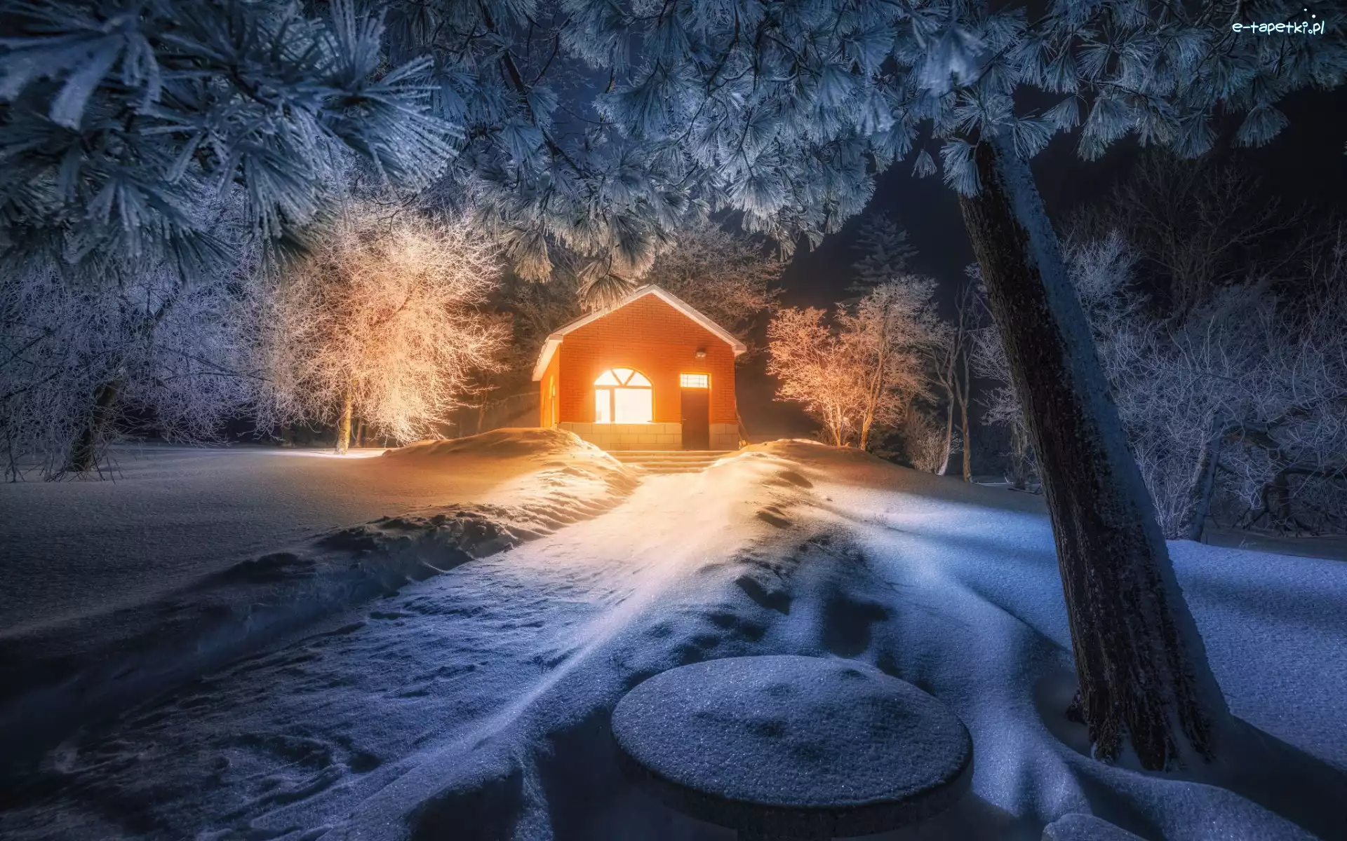 Dom, Drzewa, Śnieg, Gałęzie, Droga, Las, Noc, Zima