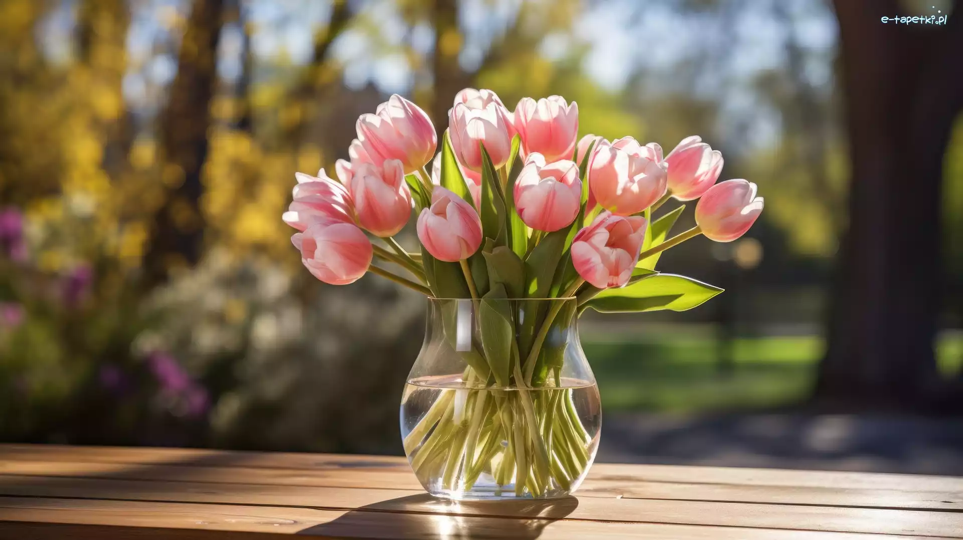 Różowe, Światło, Bukiet, Tulipany