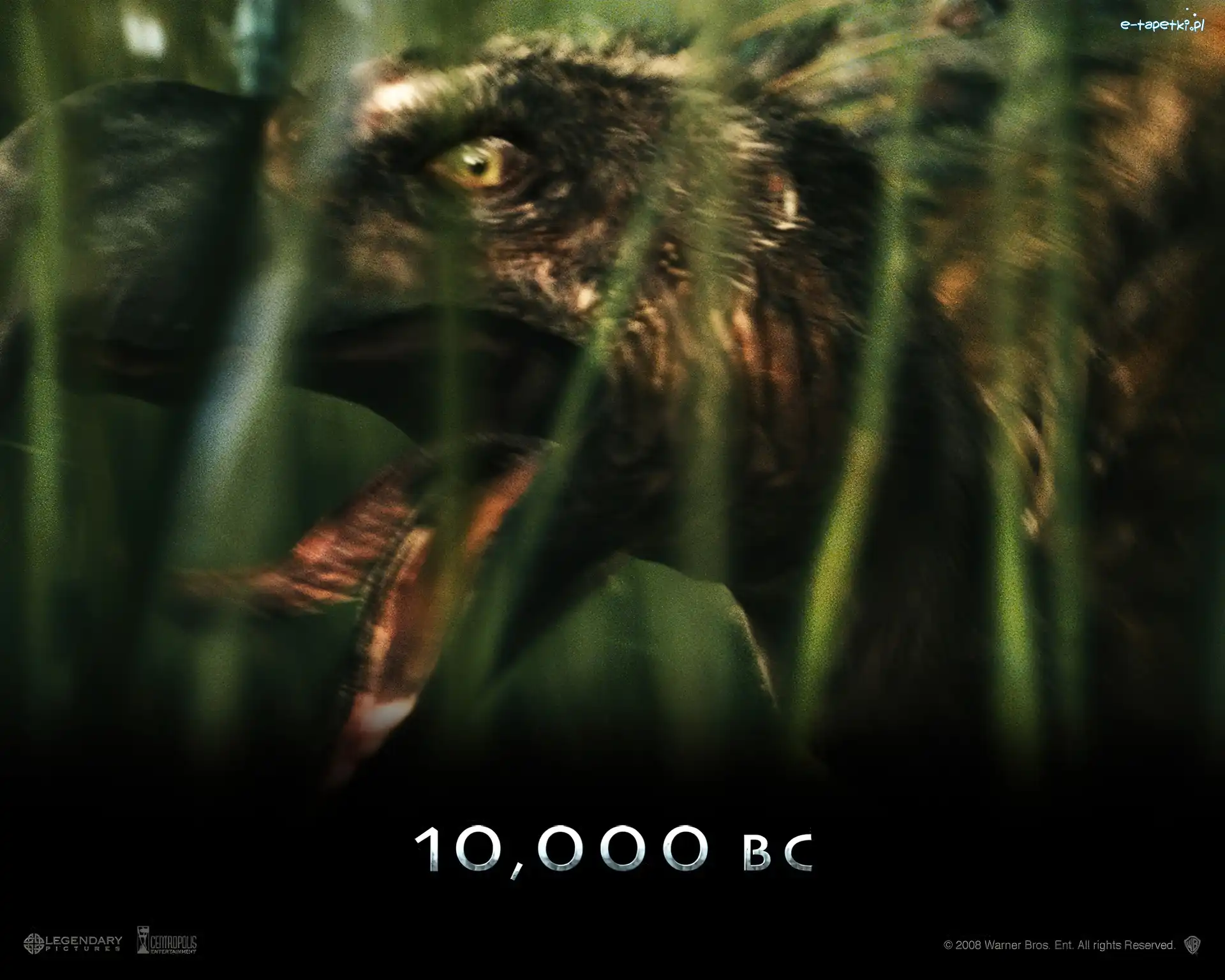 język, ptak, 10000 Bc