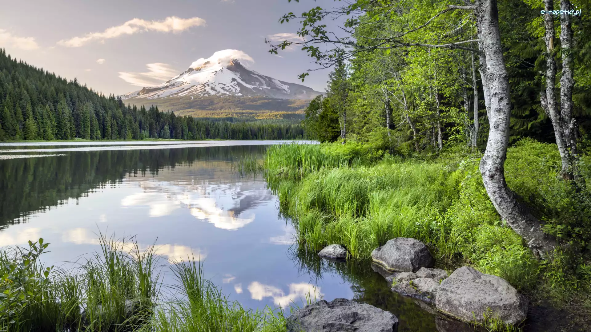Drzewa, Mount Hood, Stany Zjednoczone, Trawa, Brzeg, Stratowulkan, Las, Góry, Oregon, Chmury, Jezioro, Kamienie, Odbicie