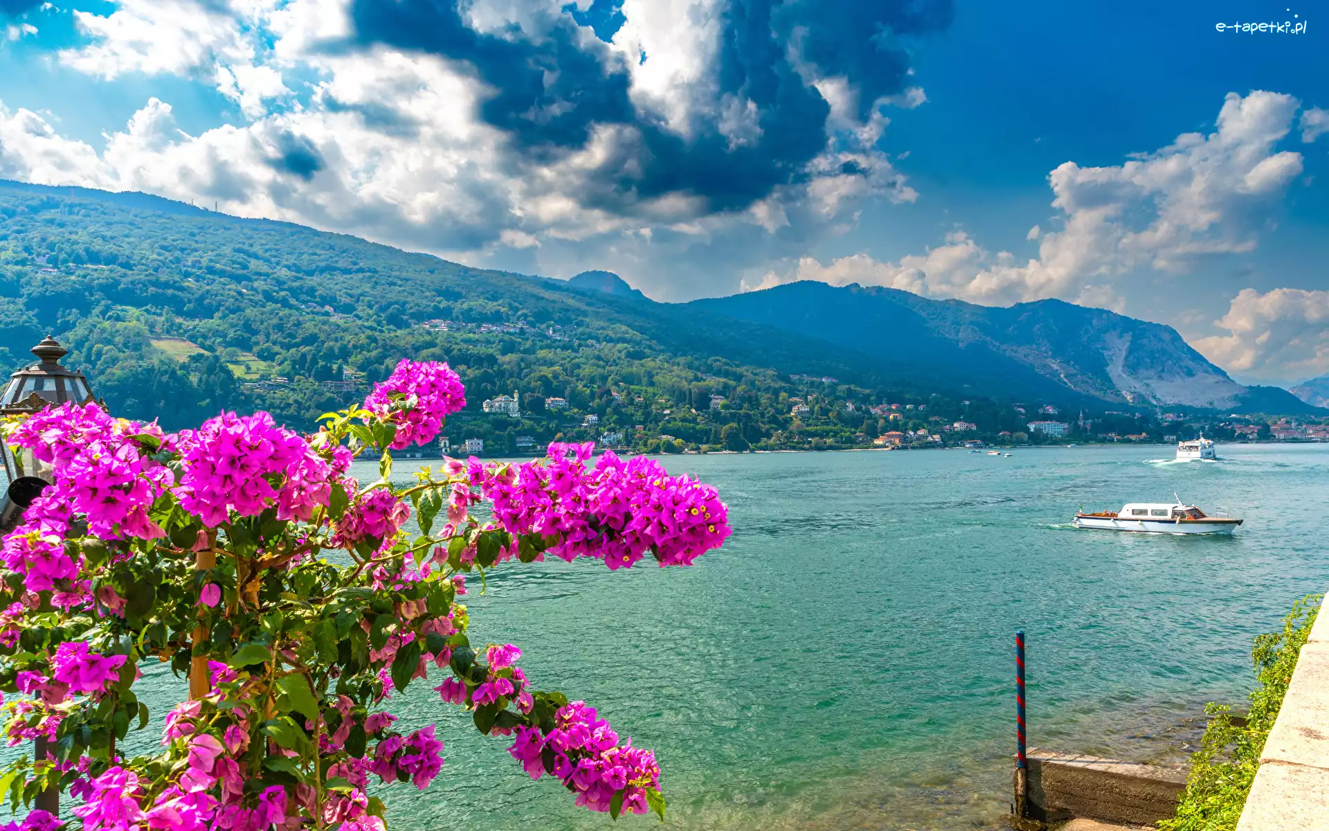 Kwiaty, Jezioro, Góra, Lago Maggiore, Włochy, Chmury, Niebo