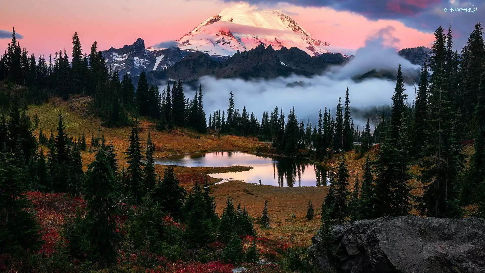 Tipsoo Lake, Jezioro, Mount Rainier, Góra, Stratowulkan, Stany Zjednoczone, Stan Waszyngton, Drzewa, Park Narodowy Mount Rainier