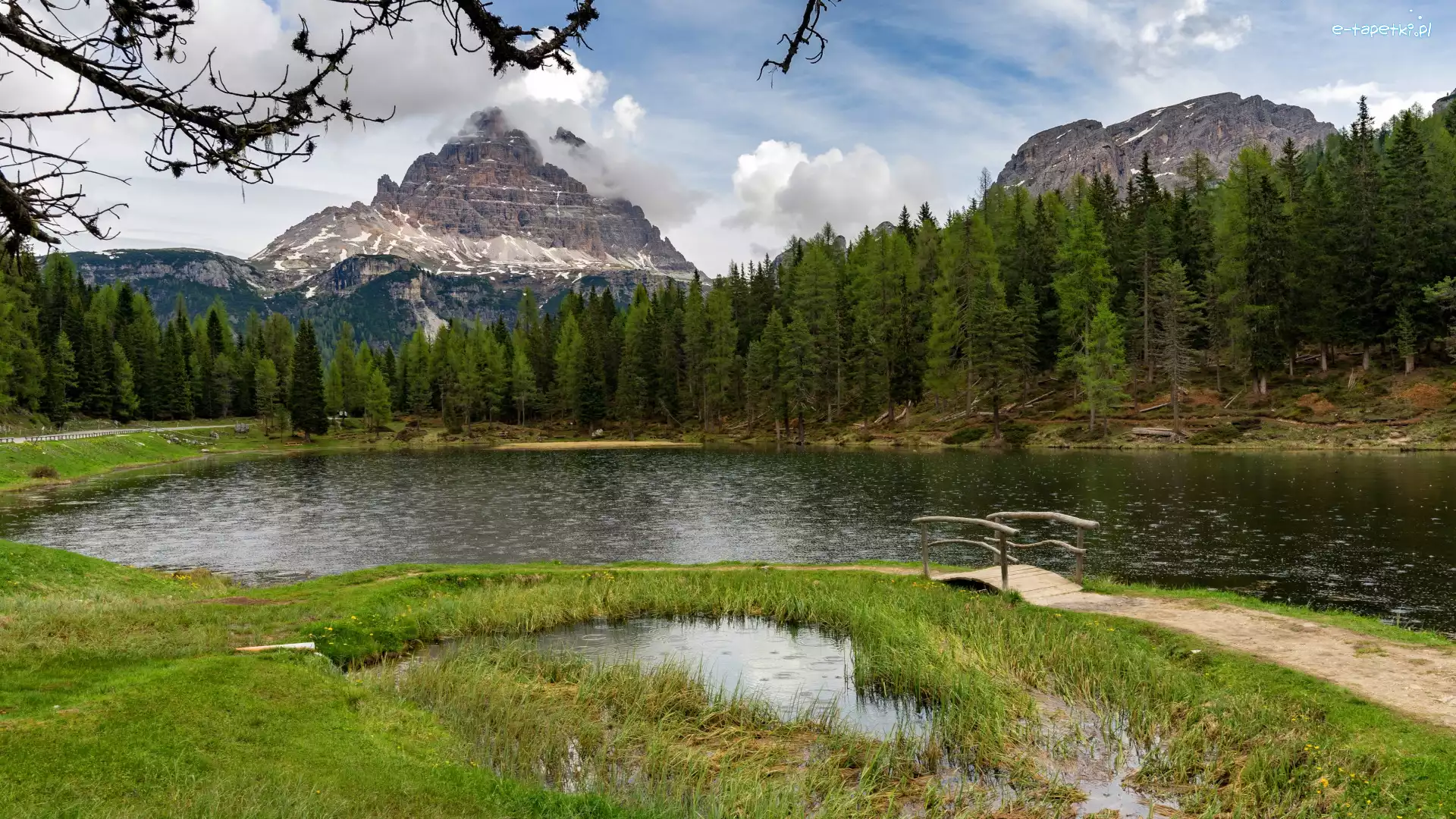 Las, Drzewa, Most, Antorno Lake, Jezioro, Włochy, Dolomity, Trawa, Góry