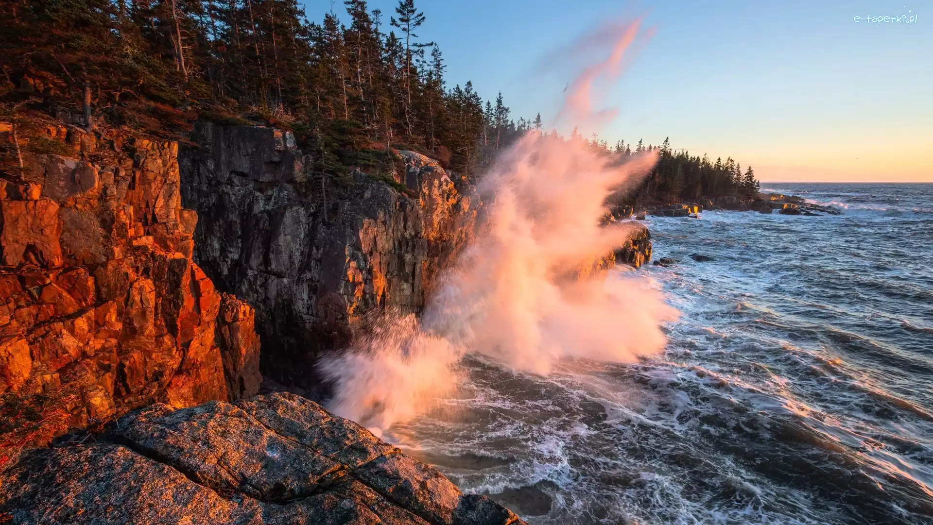 Maine, Drzewa, Park Narodowy Acadia, Stany Zjednoczone, Skały, Morze