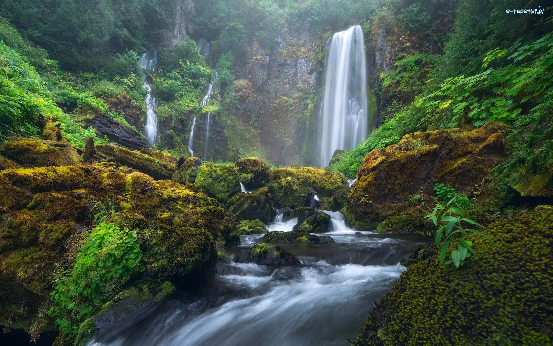 Gifford Pinchot National Forest, Rzeka, Stany Zjednoczone, Las, Kamienie, Głazy, Skały, Wodospad, Omszone, Oregon