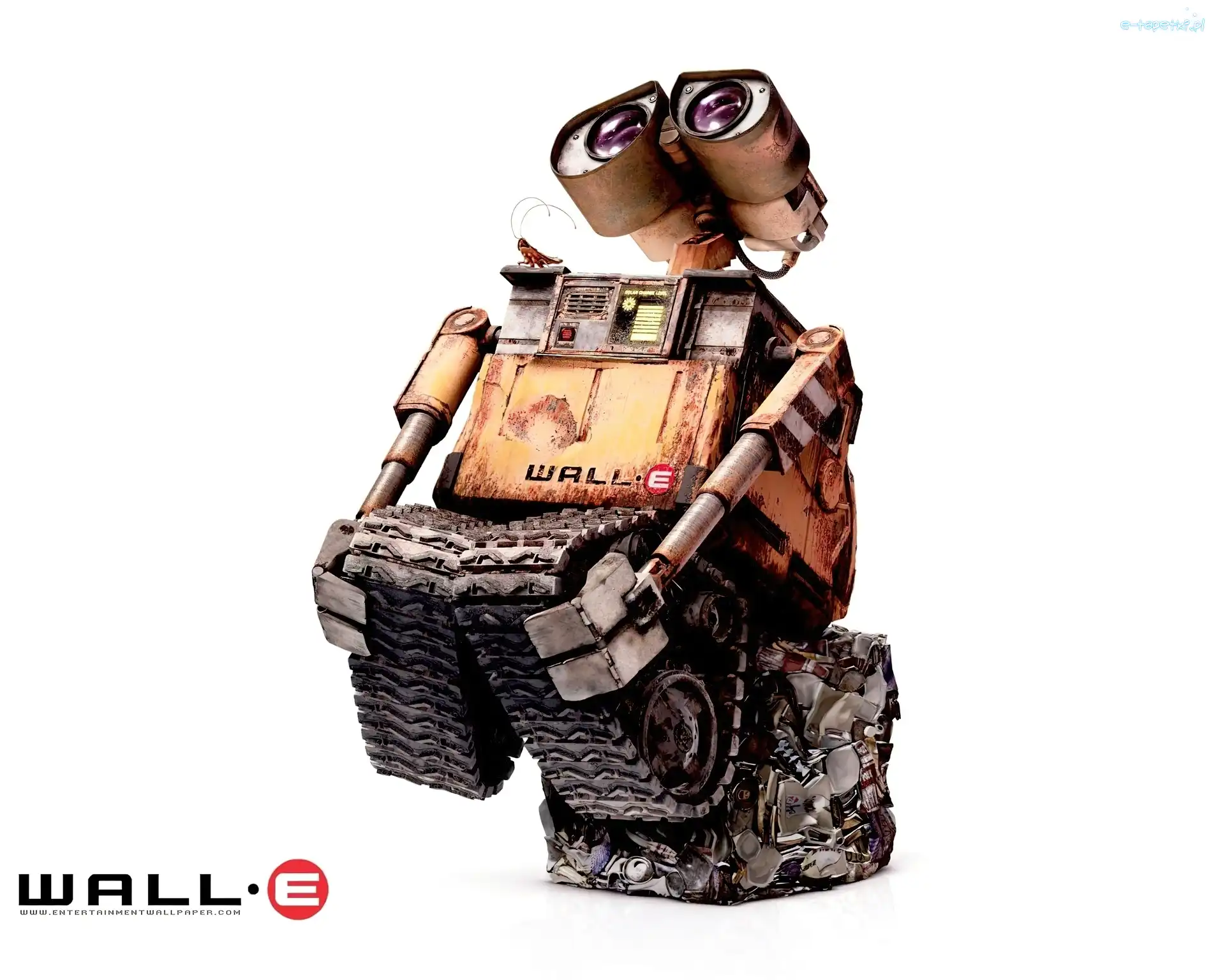 smutny, świerszcz, robot, Wall E
