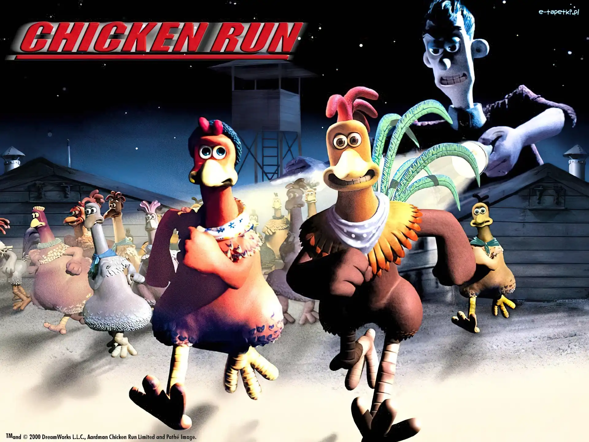Chicken Run, Uciekające kurczaki, kury