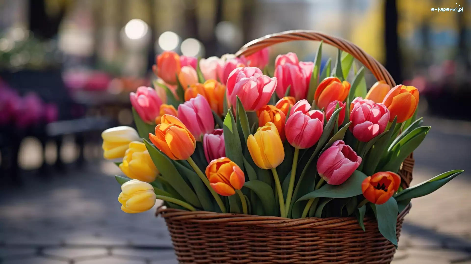 Koszyk, Tulipany, Kolorowe