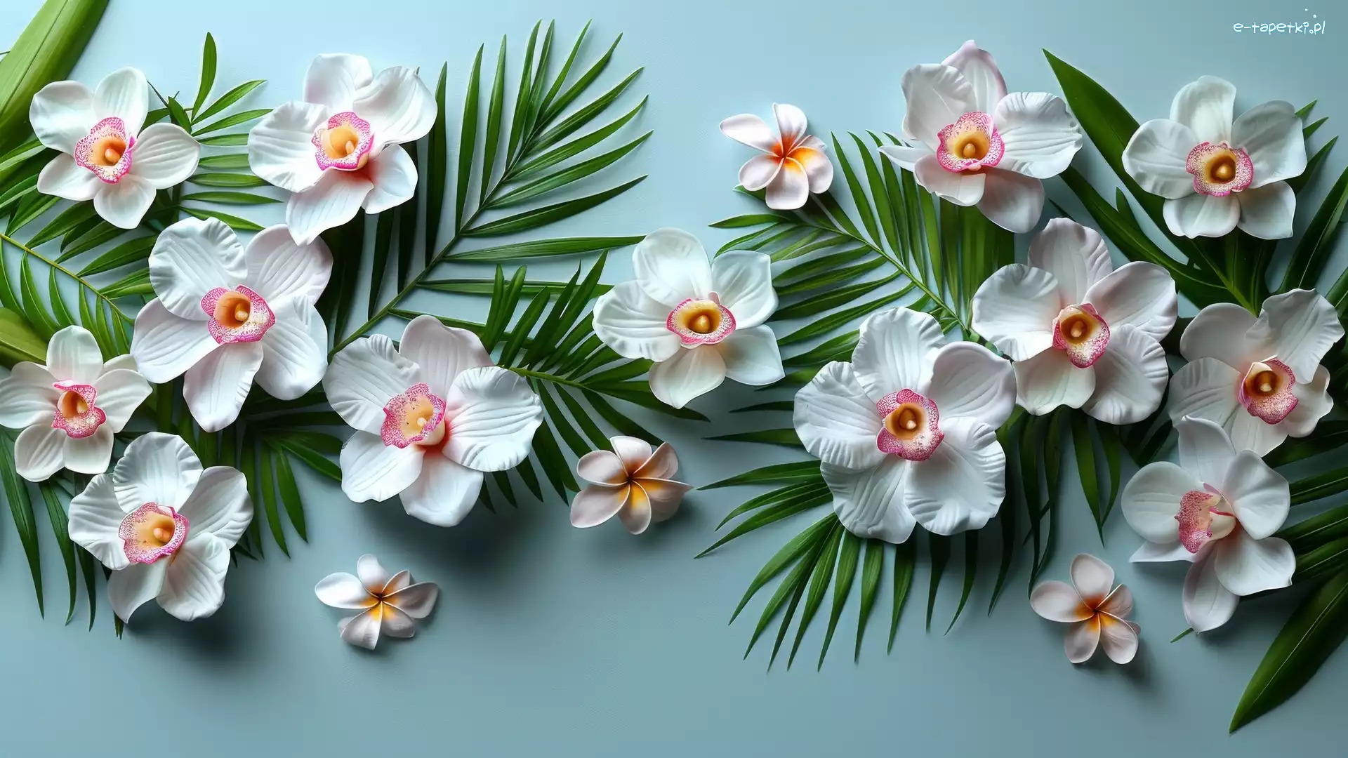 Storczyki, Liście, Plumeria, Kwiaty