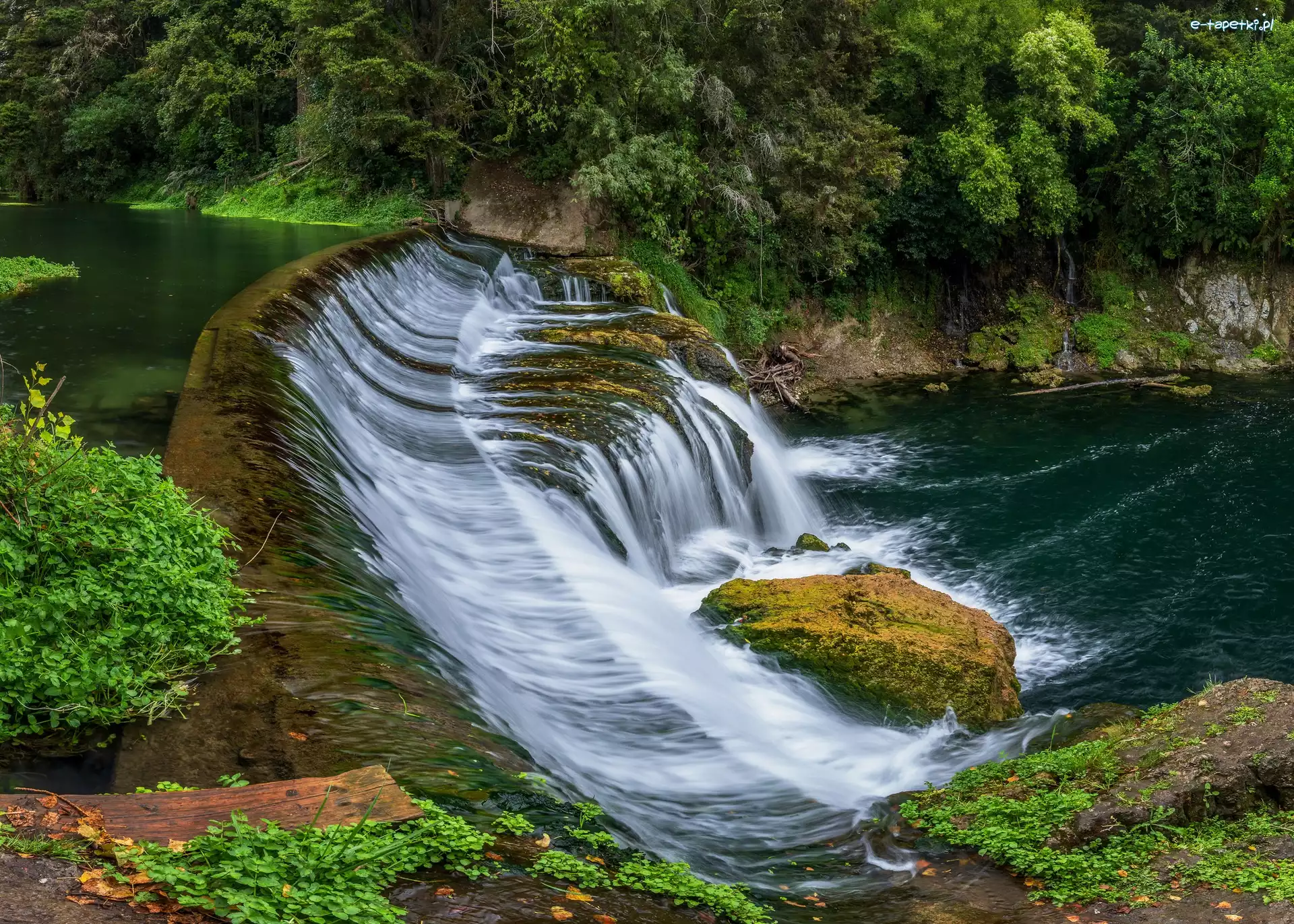 Mech, Wyspa Północna, Roślinność, Skały, Rzeka, Wodospad, Maraetotara Falls, Nowa Zelandia, Hastings, Drzewa