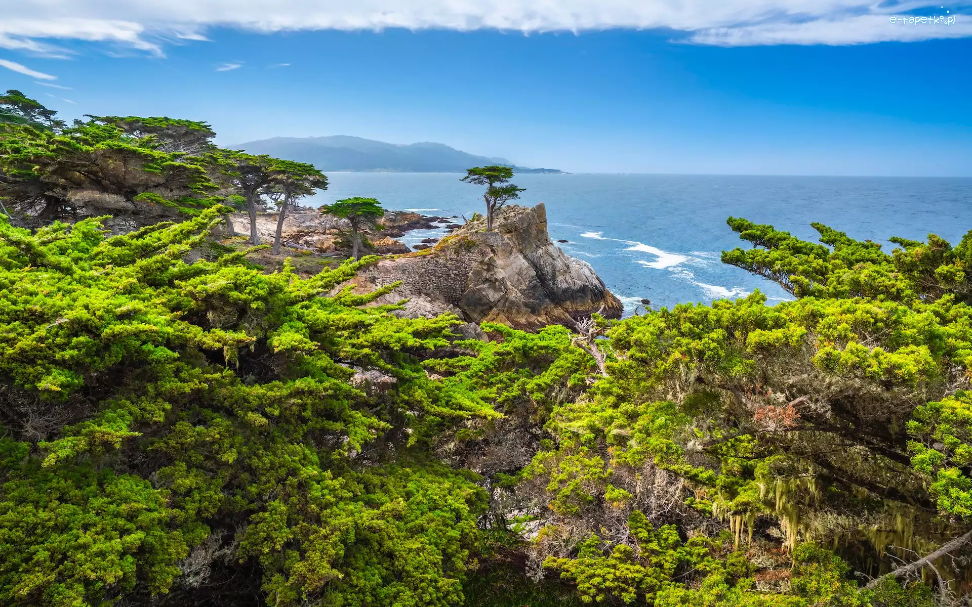 Zatoka, Morze, Cyprys wielkoszyszkowy, Drzewa, Skały, Stany Zjednoczone, Kalifornia, Pebble Beach, Carmel Bay
