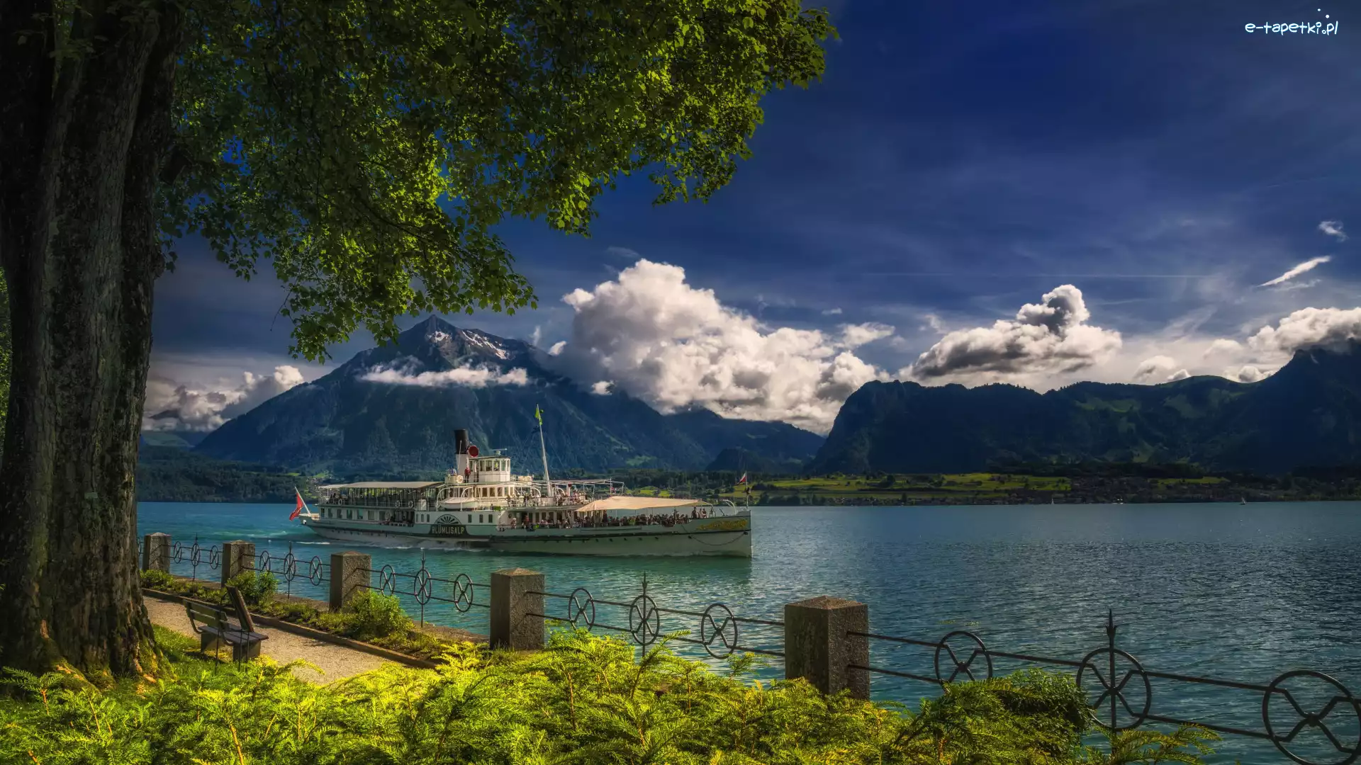 Jezioro Thunersee, Góry, Statek, Szwajcaria