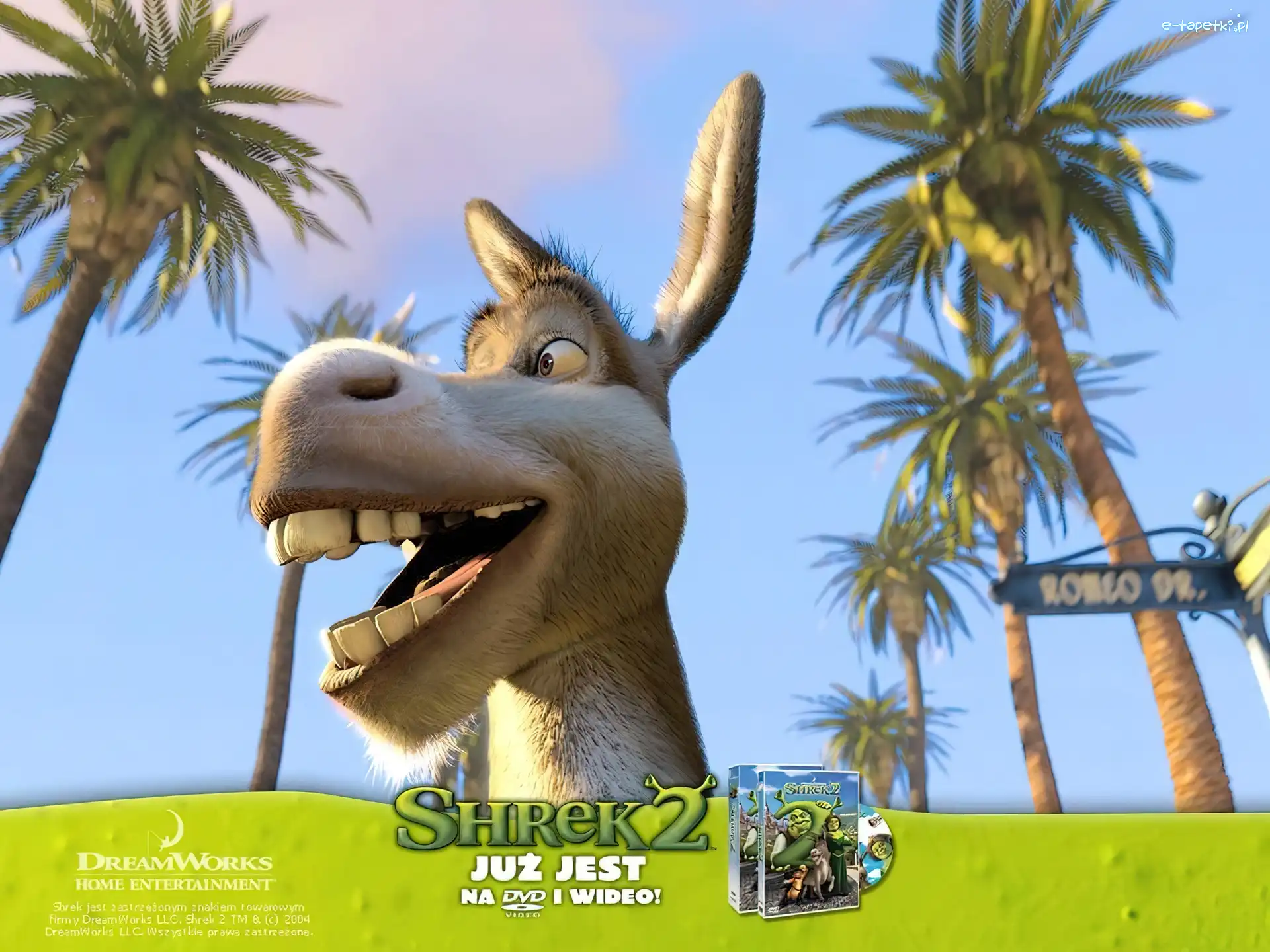 osioł, palmy, Shrek 2