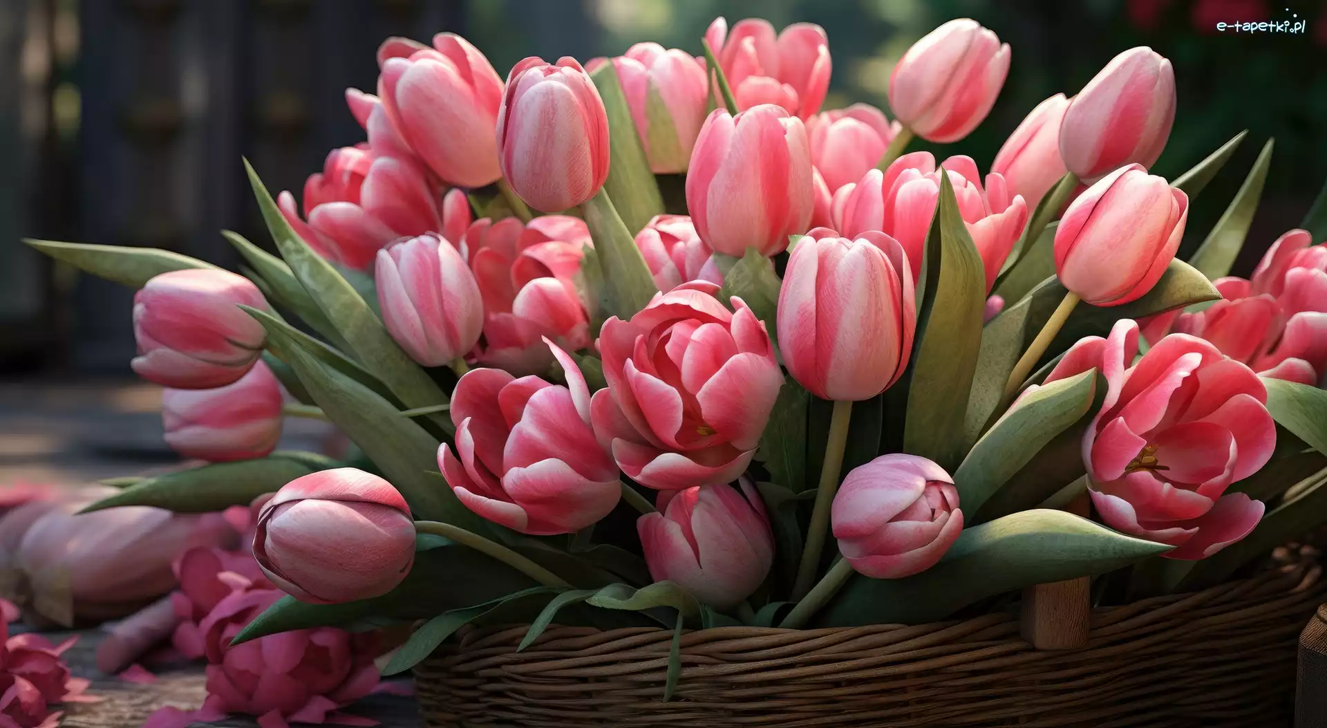 Tulipany, Koszyk, Liście, Różowe
