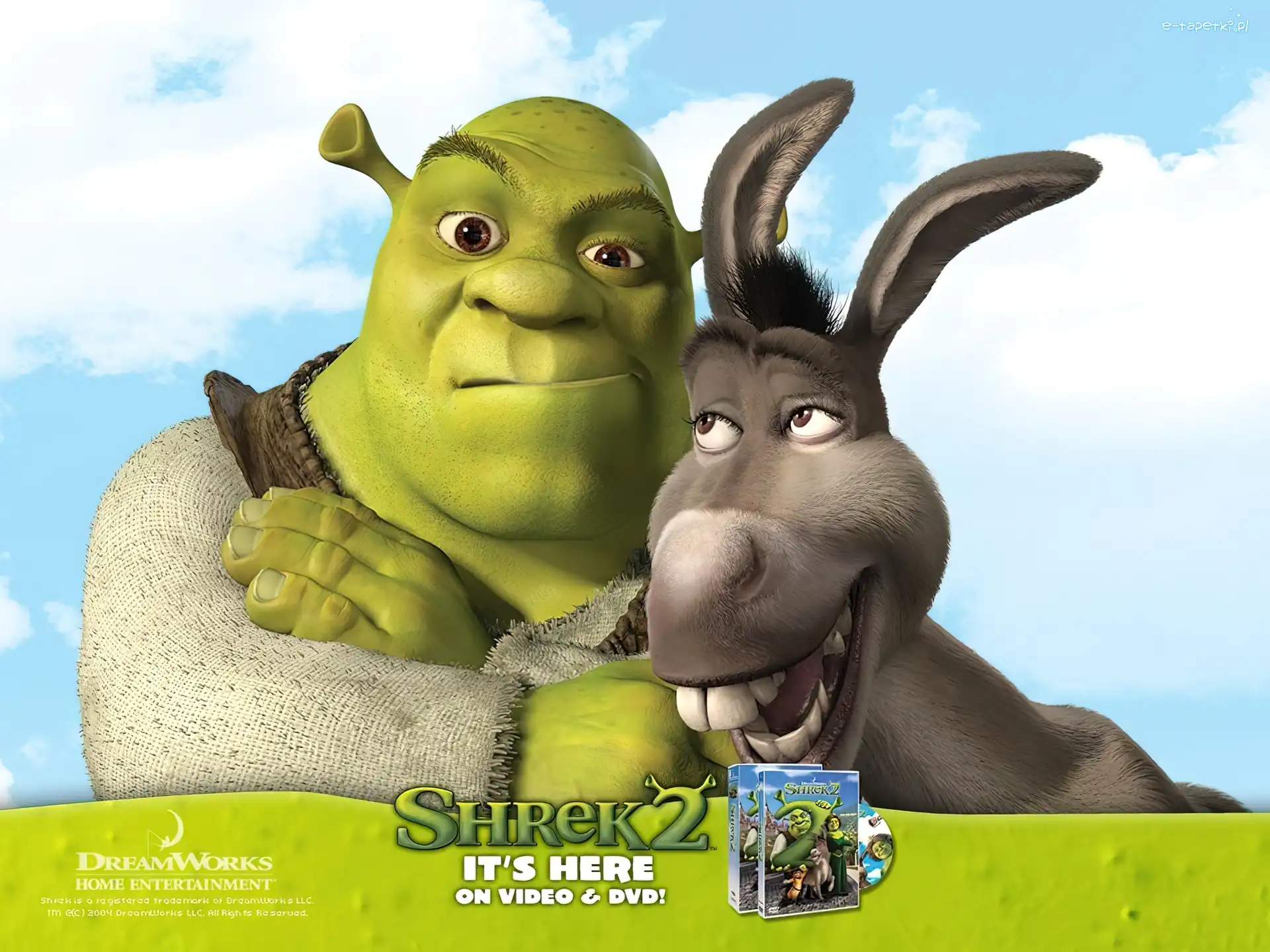 osioł, Shrek