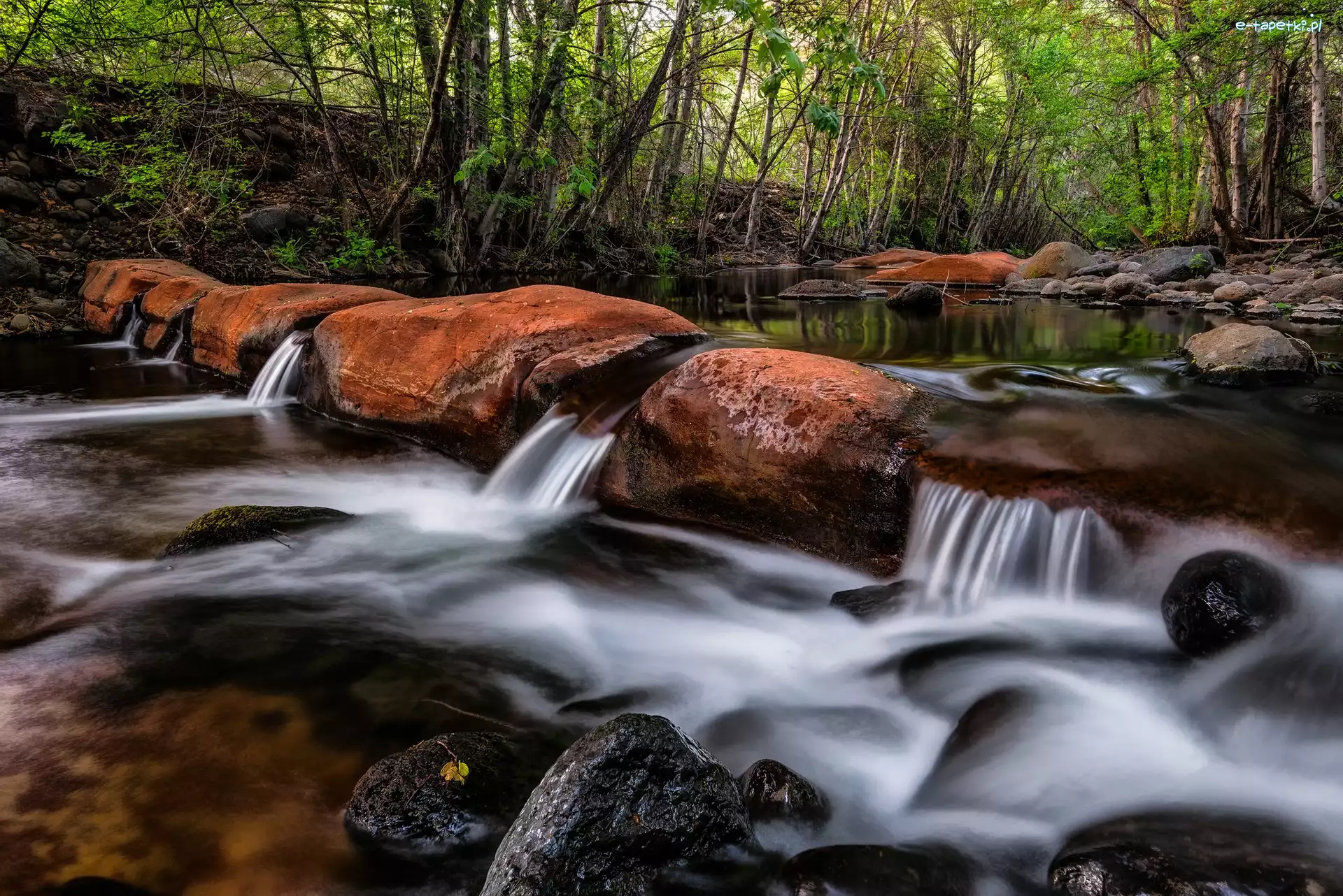 Głazy, Rzeka, Dolina Verde Valley, Stan Arizona, Stany Zjednoczone, Drzewa, Las, Beaver Creek, Kamienie