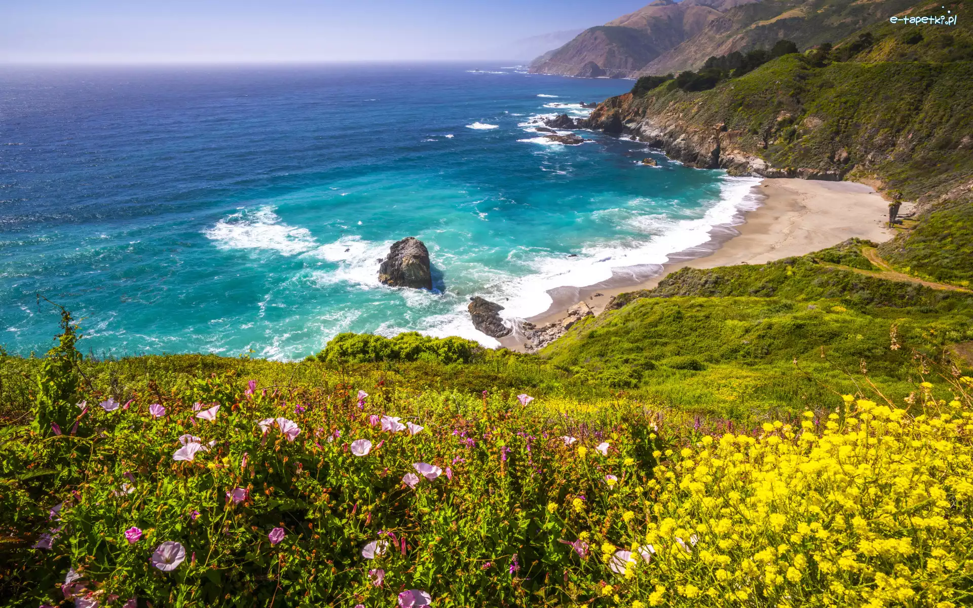Kwiaty, Stany Zjednoczone, Skały, Big Sur Beach, Góry, Wybrzeże, Zatoka, Wzgórza, Morze, Kalifornia, Plaża