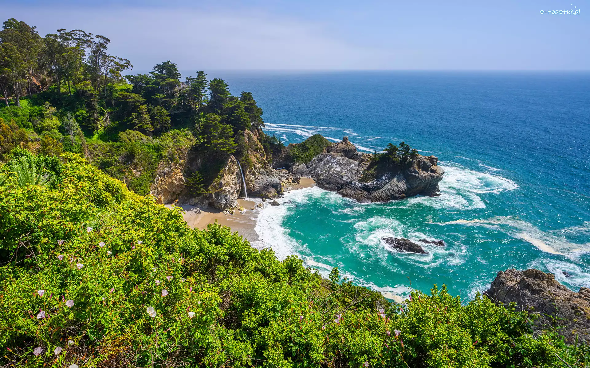 Skały, Zatoka McWay Cove, Wybrzeże, Kalifornia, Stany Zjednoczone, Morze, Krzewy, Big Sur, Drzewa