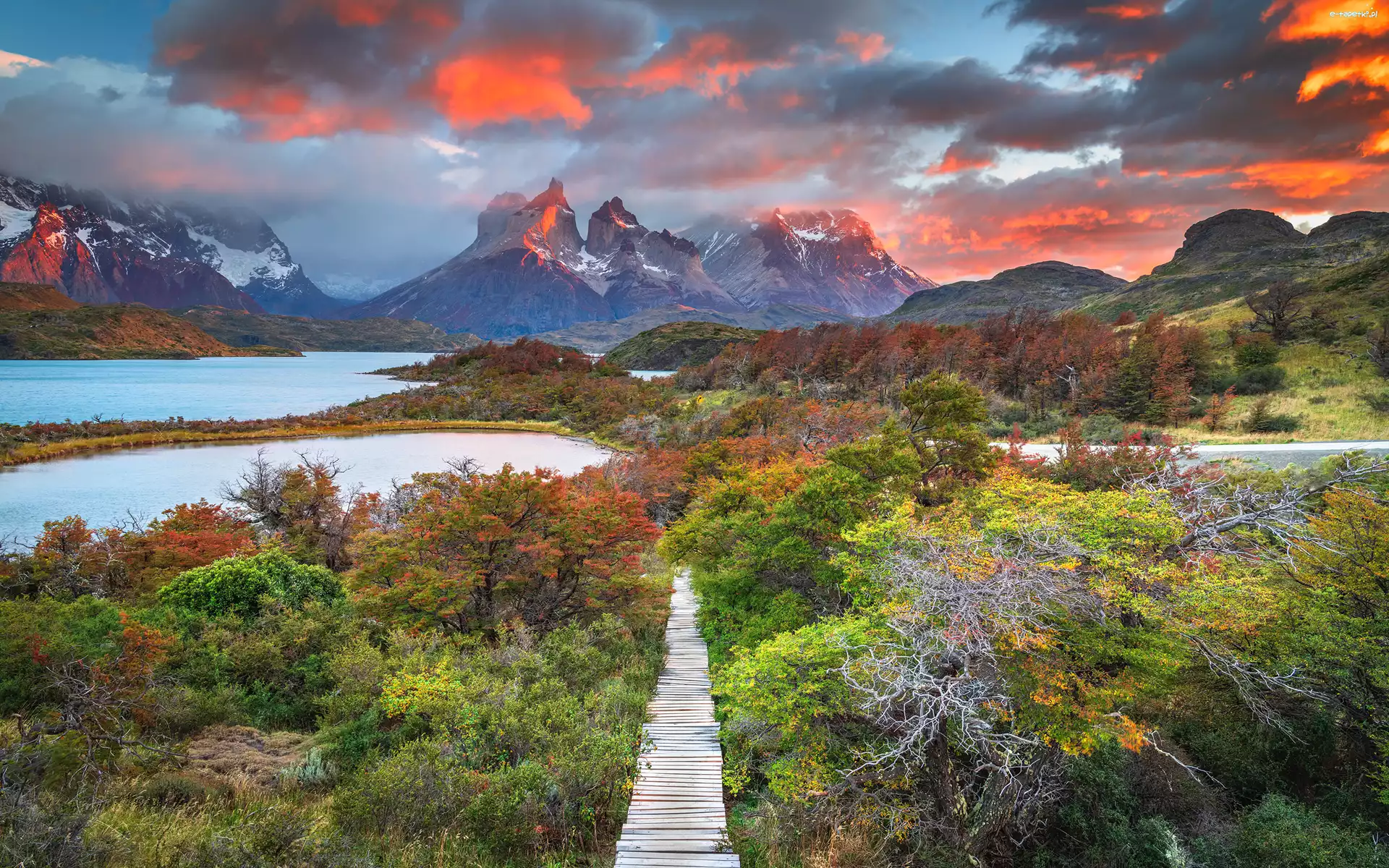 Ścieżka, Park Narodowy Torres Del Paine, Roślinność, Jezioro, Torres del Paine, Kolorowe, Niebo, Chile, Góry, Drzewa