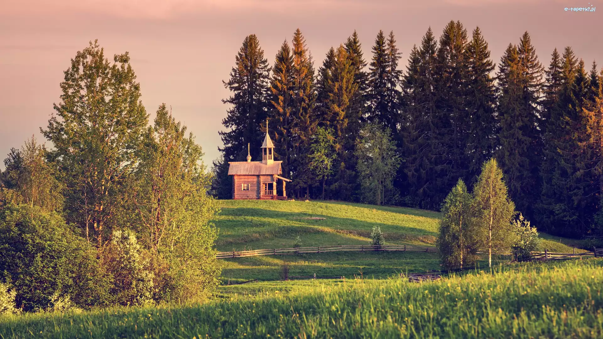 Rosja, Łąka, Wieś, Drzewa, Kapliczka, Obwód archangielski, Kenozerskoje