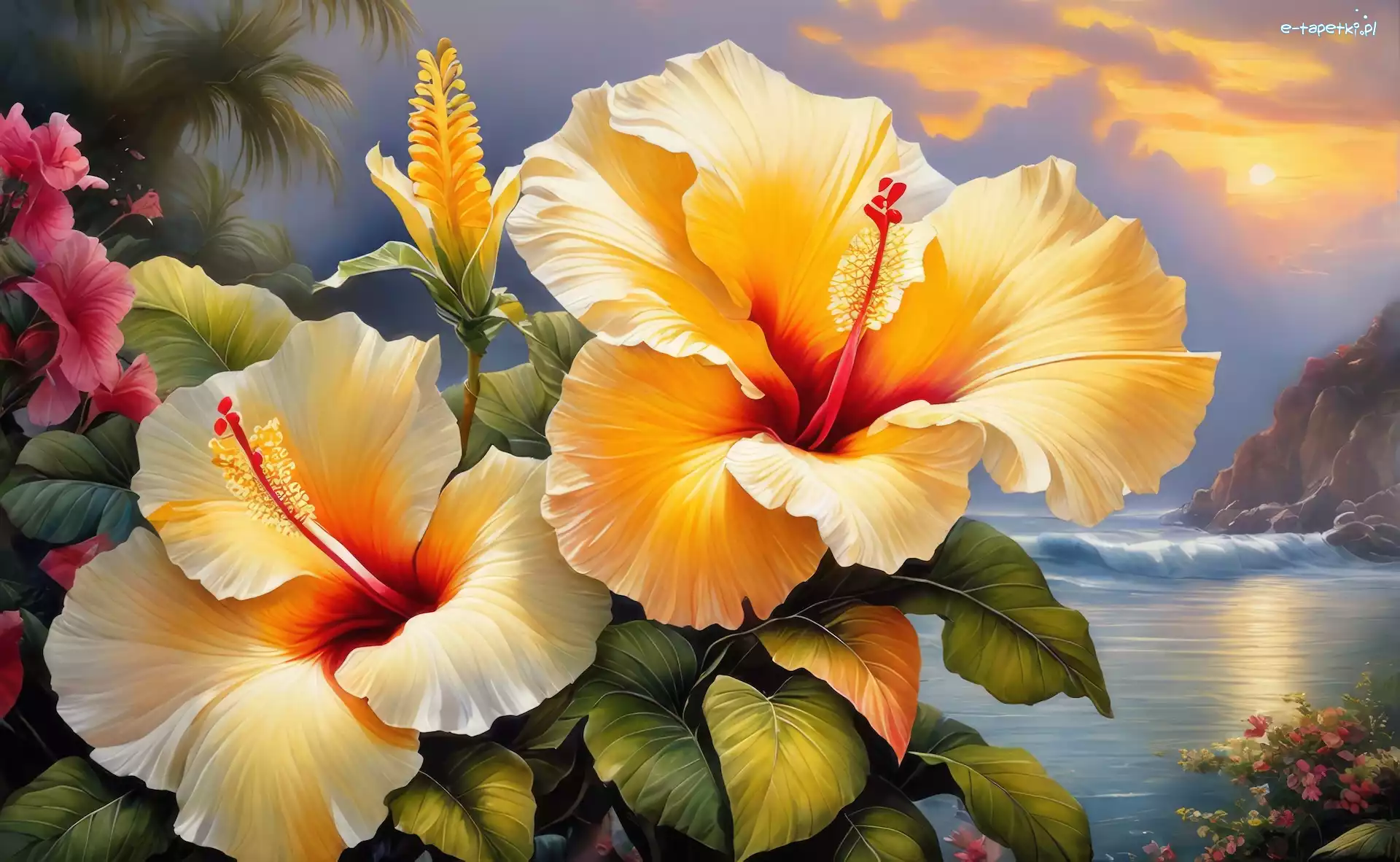 Zbliżenie, Hibiskus, Kwiaty
