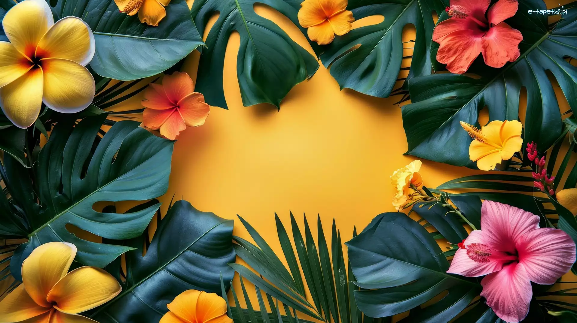 Kwiat, Kwiaty, Monstera, Hibiskus, Plumeria, Żółte tło, Liście