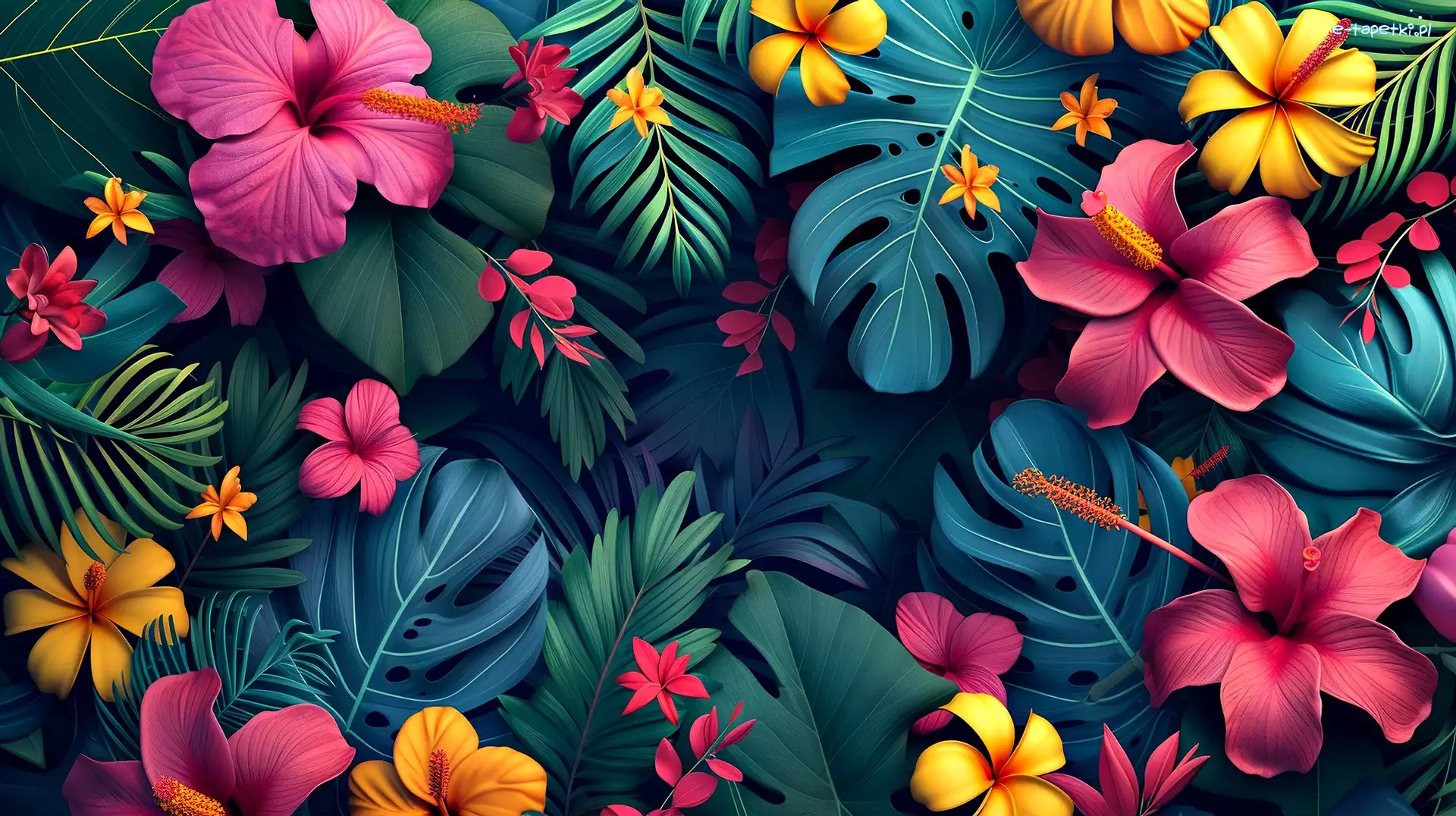 Monstera, Kwiaty, Liście, Grafika, Plumeria, Hibiskus