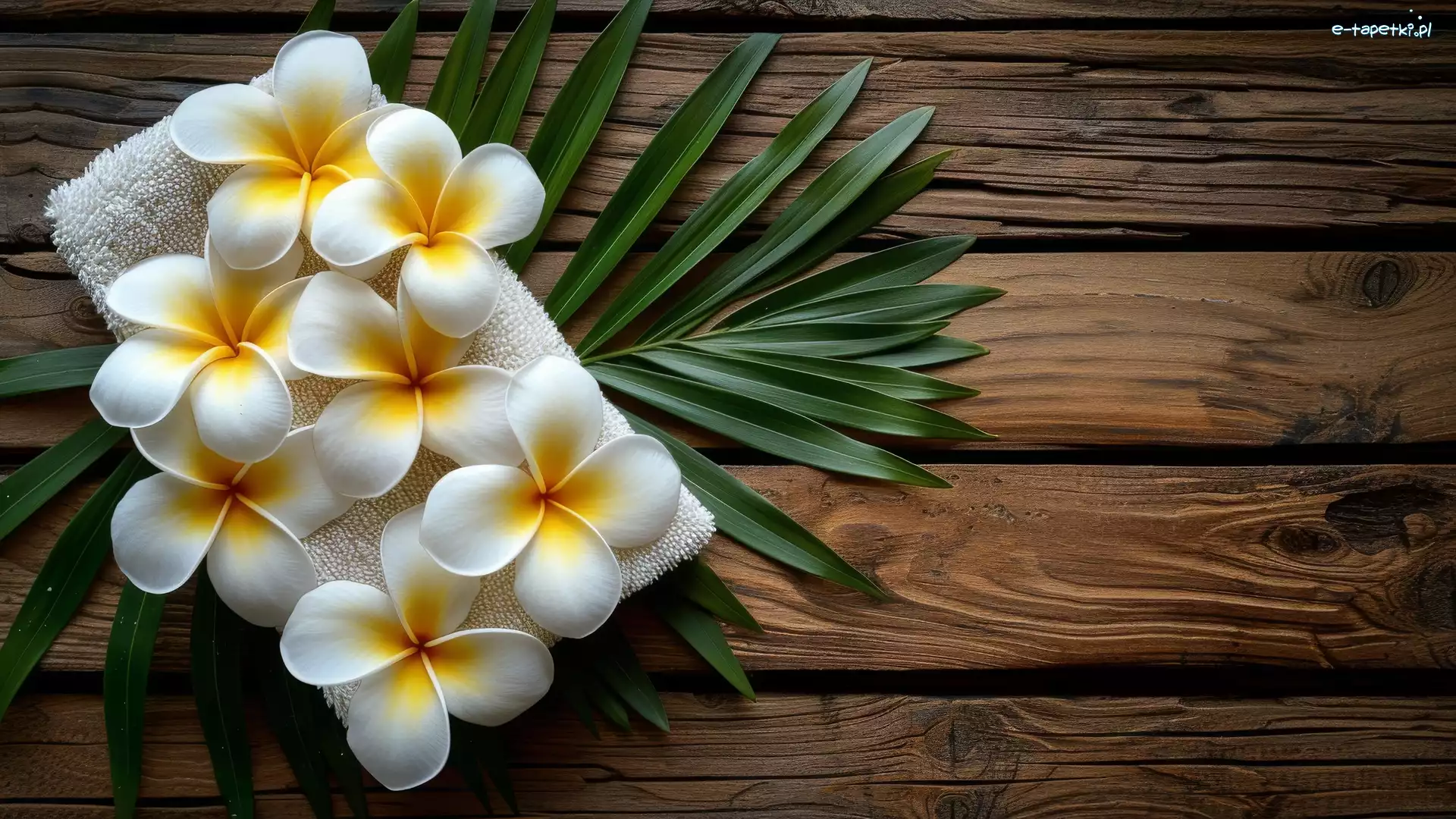 Kwiat, Ręcznik, Plumeria, Drewno Kwiat, Liść