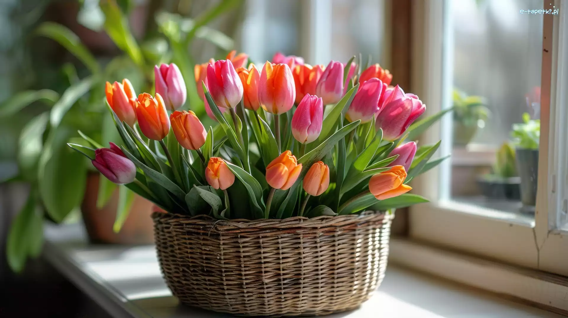Tulipan, Kolorowe, Tulipany, Kwiaty, Bukiet, Bukiet Kwiatów, Koszyk Kwiat