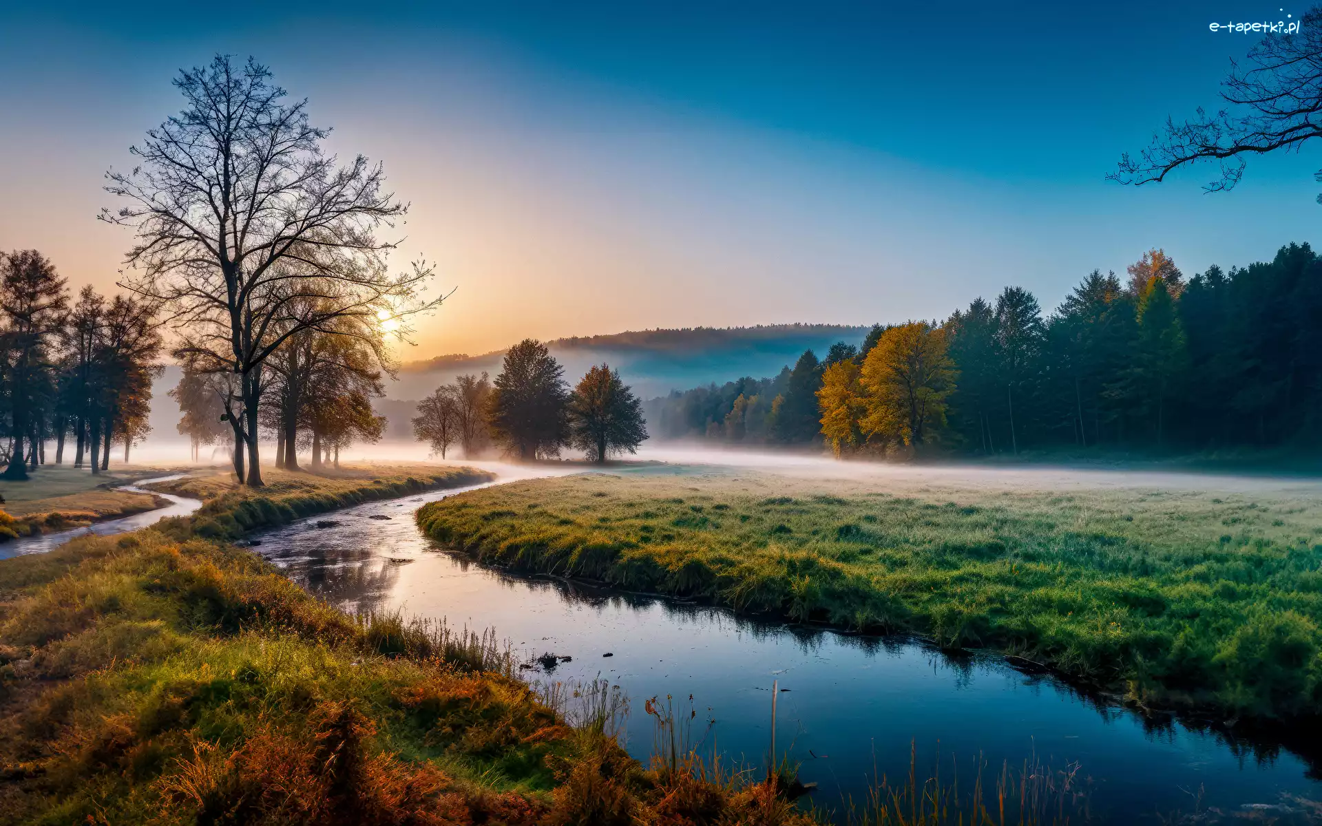 Rzeka, Mgła, Pola, Poranek, Las, Góry