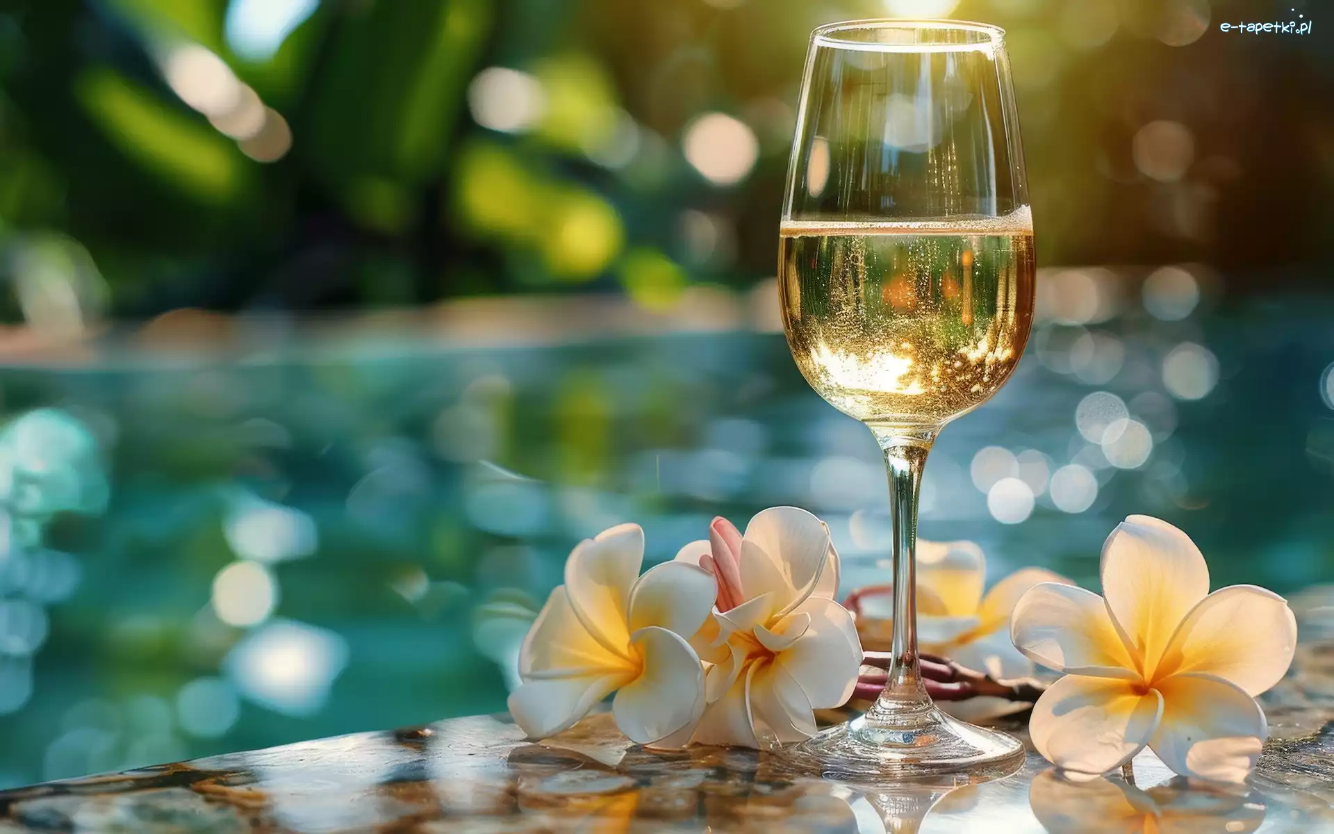 Kompozycja, Wino, Kieliszek, Plumeria, Kwiaty