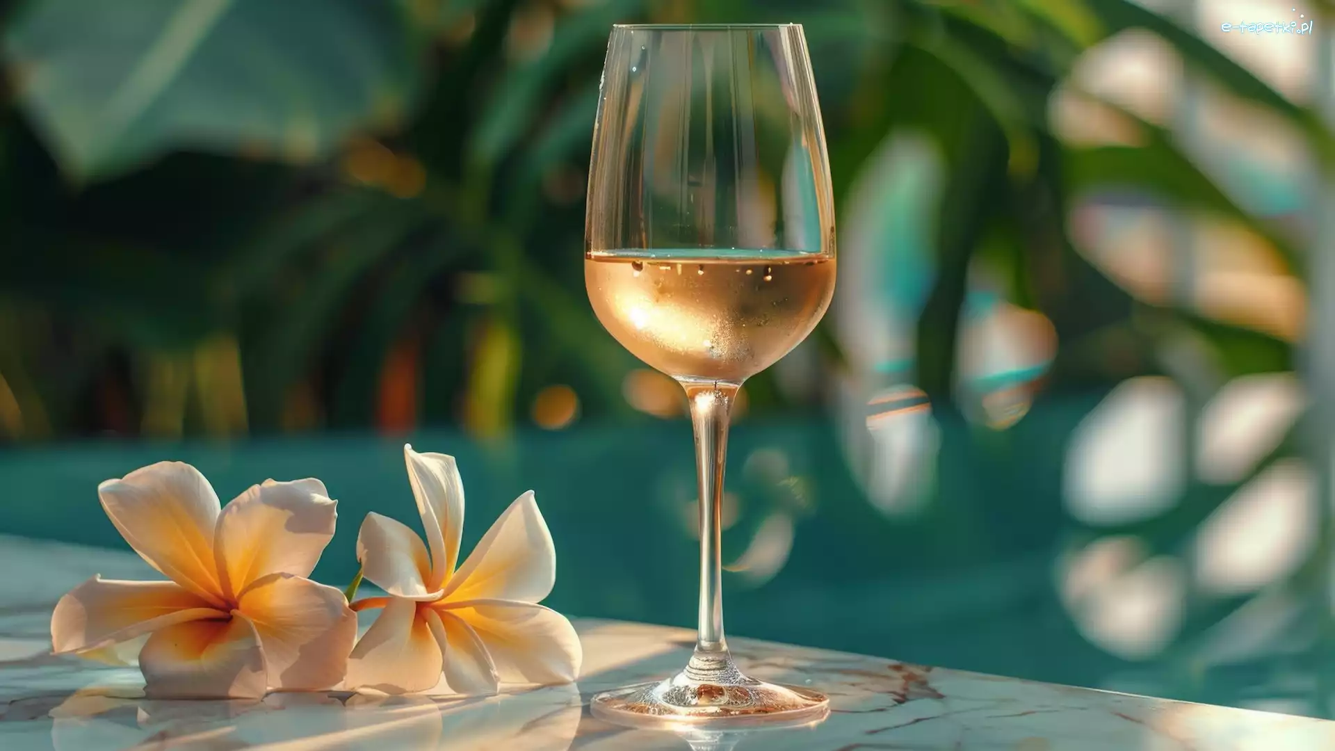 Kompozycja, Wino, Kieliszek, Plumeria, Kwiaty