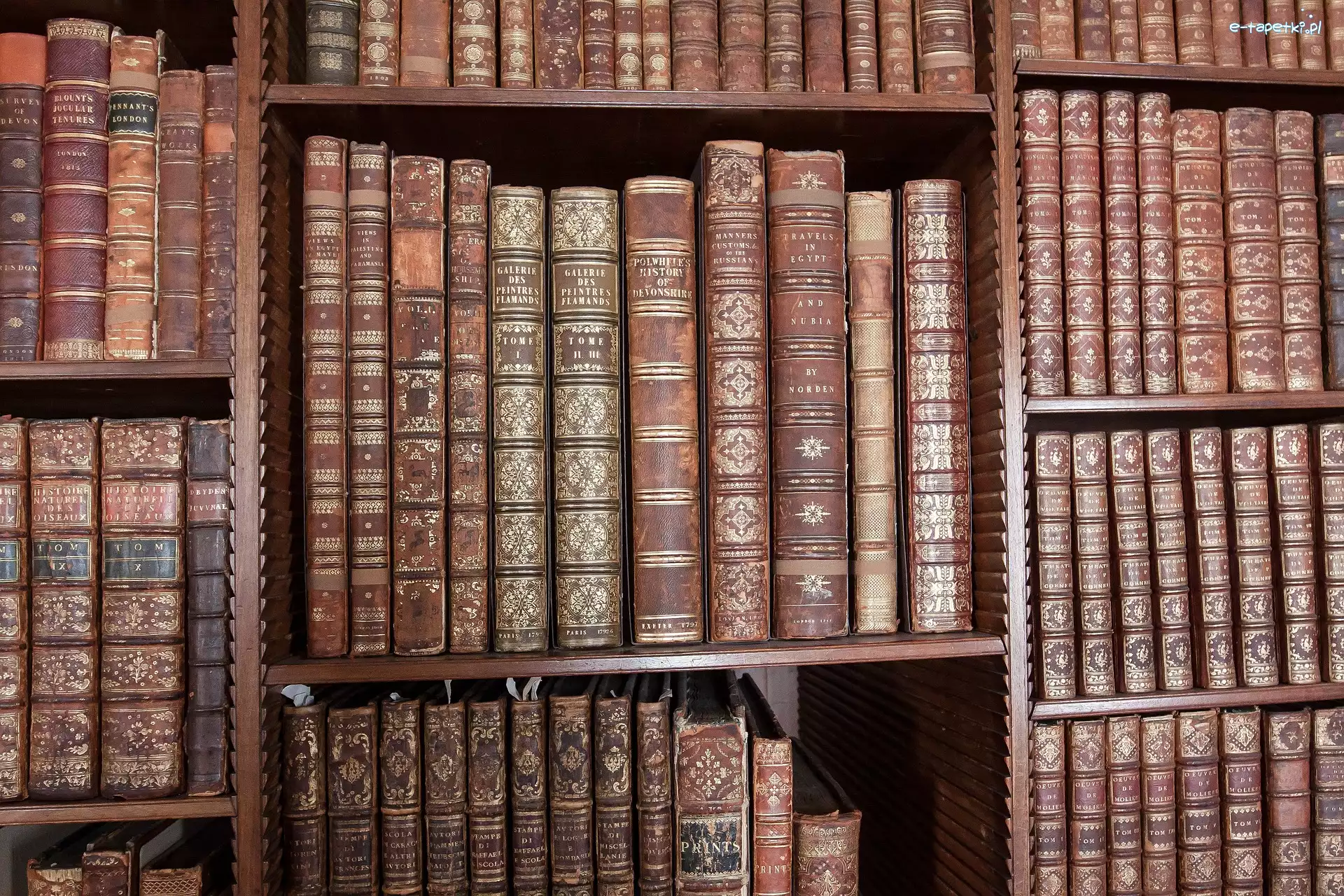 Półki, Okładki, Książki, Regał, Brązowe, Biblioteka