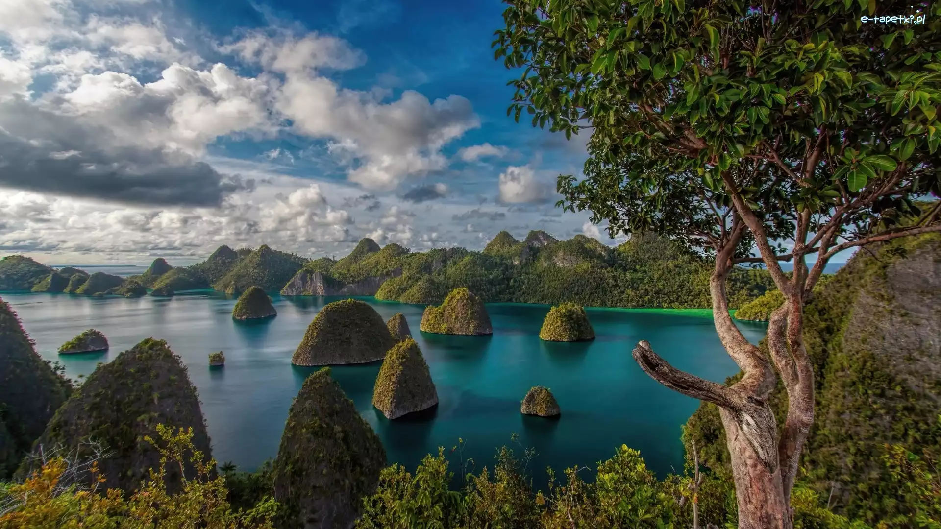 Morze, Raja Ampat, Drzewa, Chmury, Wyspy, Indonezja
