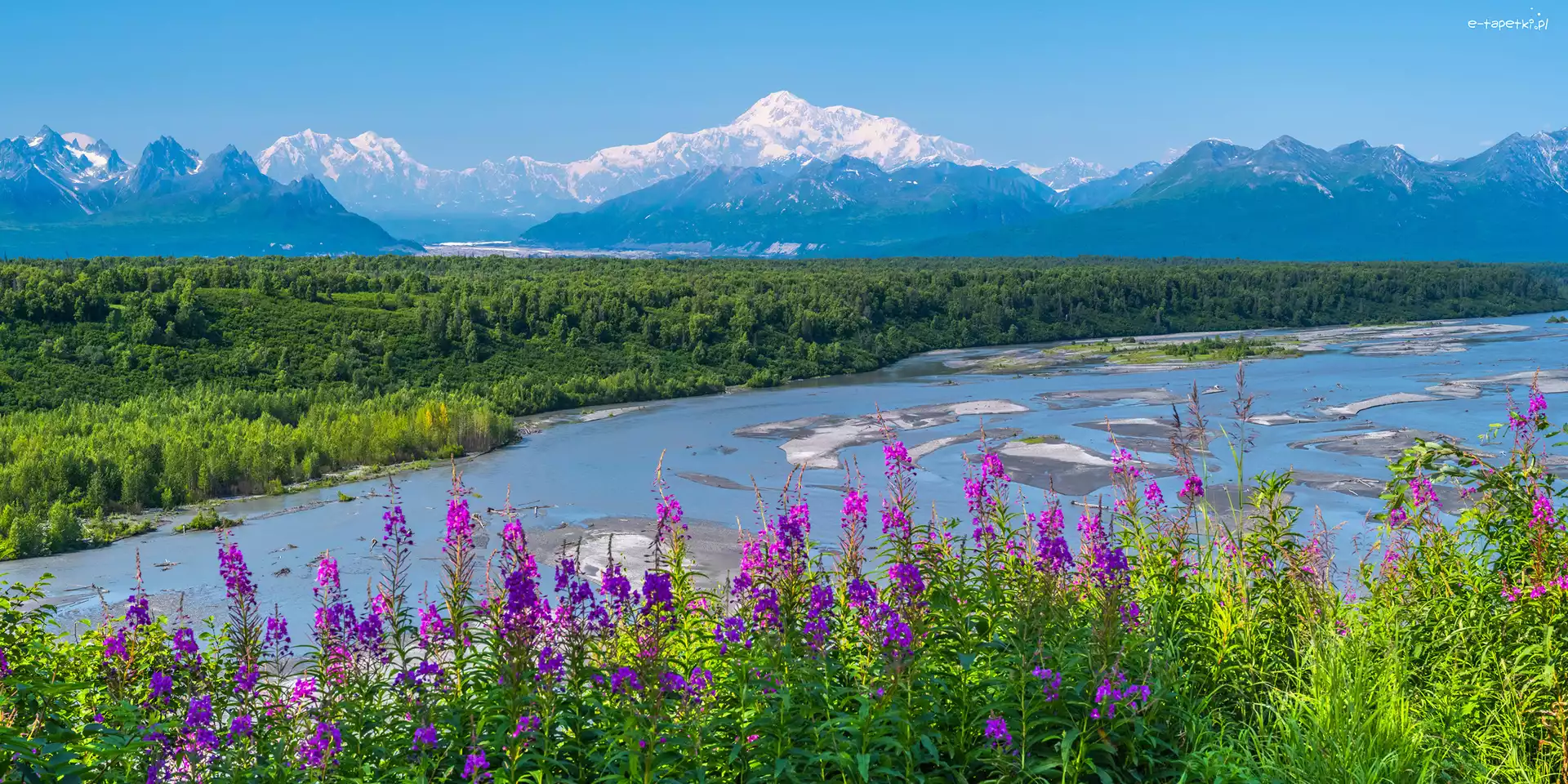 Śnieg, Park Narodowy Denali, Góry, Stan Alaska, Stany Zjednoczone, Rzeka, Kwiaty