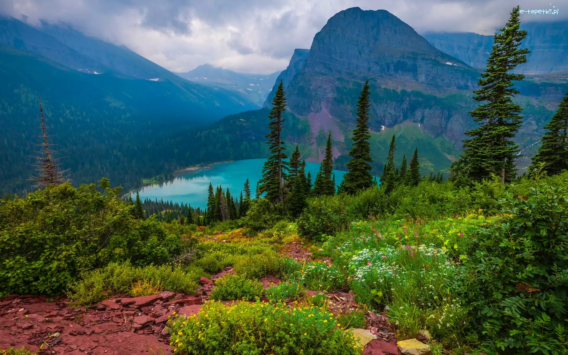 Jezioro, Góry, Stany Zjednoczone, Montana, Park Narodowy Glacier, Chmury, Rośliny, Drzewa, Grinnell Lake