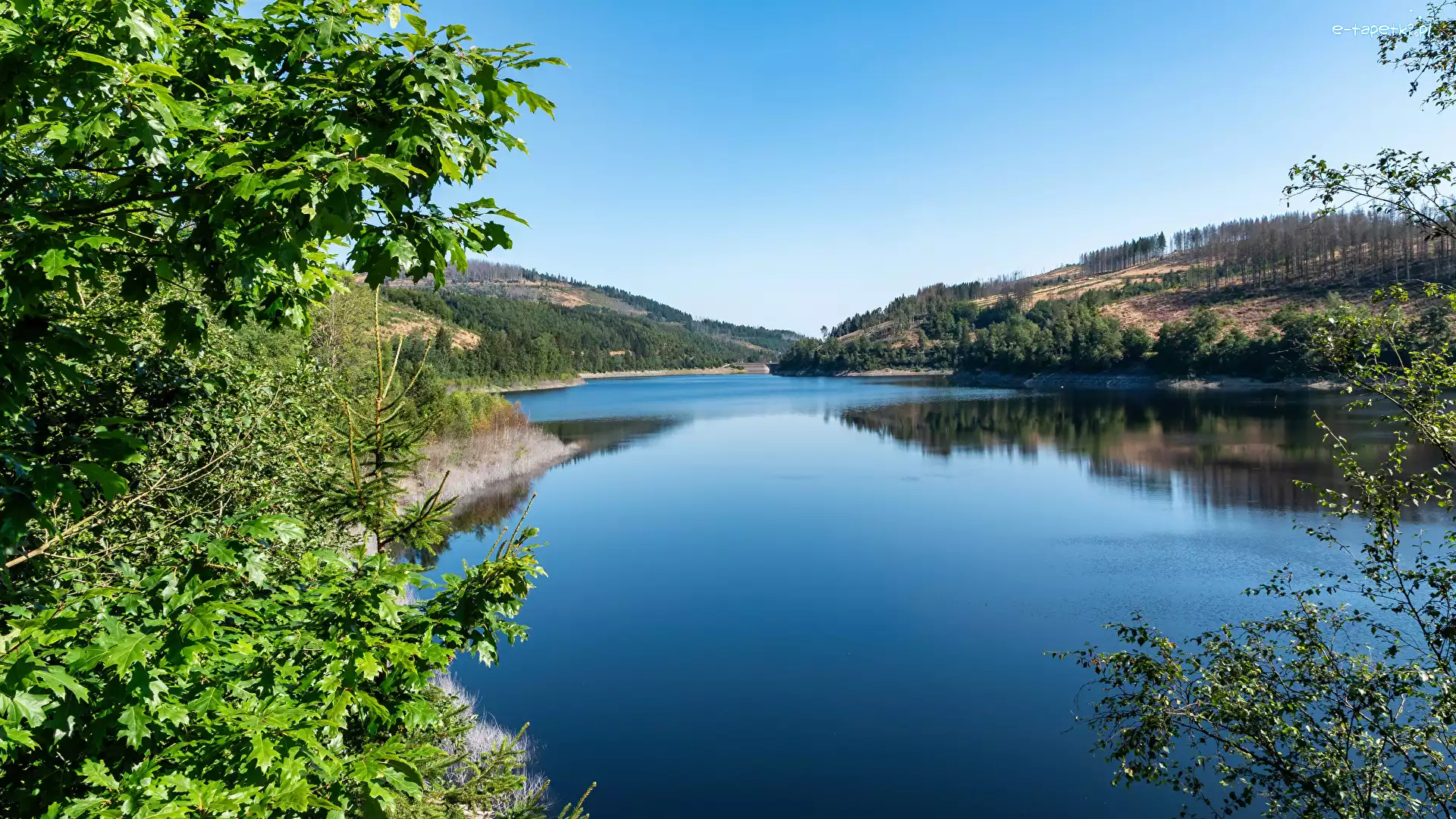 Niemcy, Wzgórza, Drzewa, Okerstausee, Jezioro, Okertalsperre, Gałęzie